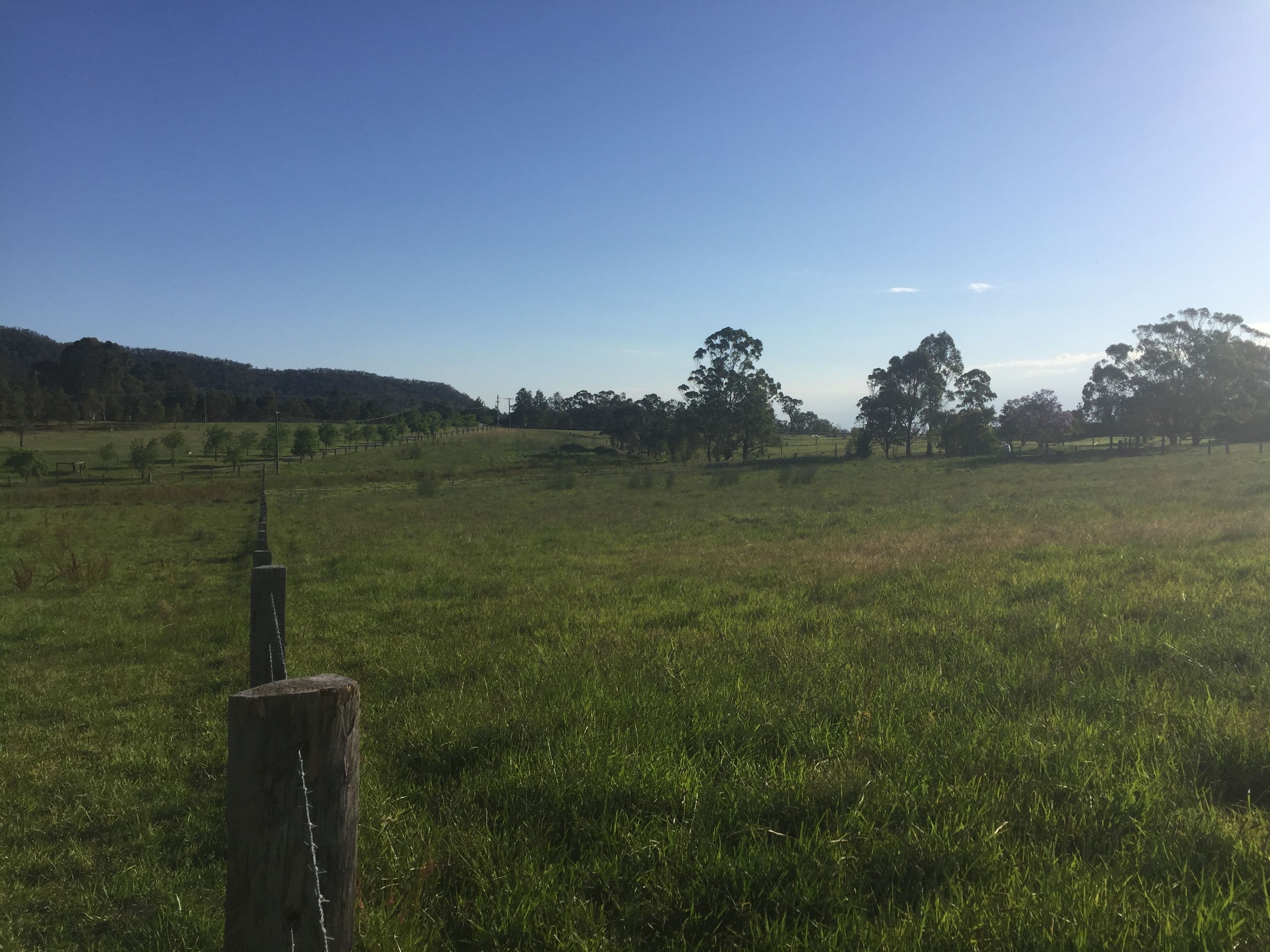 Lot 31 DP1220729 Williams River Close, Clarence Town NSW 2321, Clarence Town - Thumbnail 7