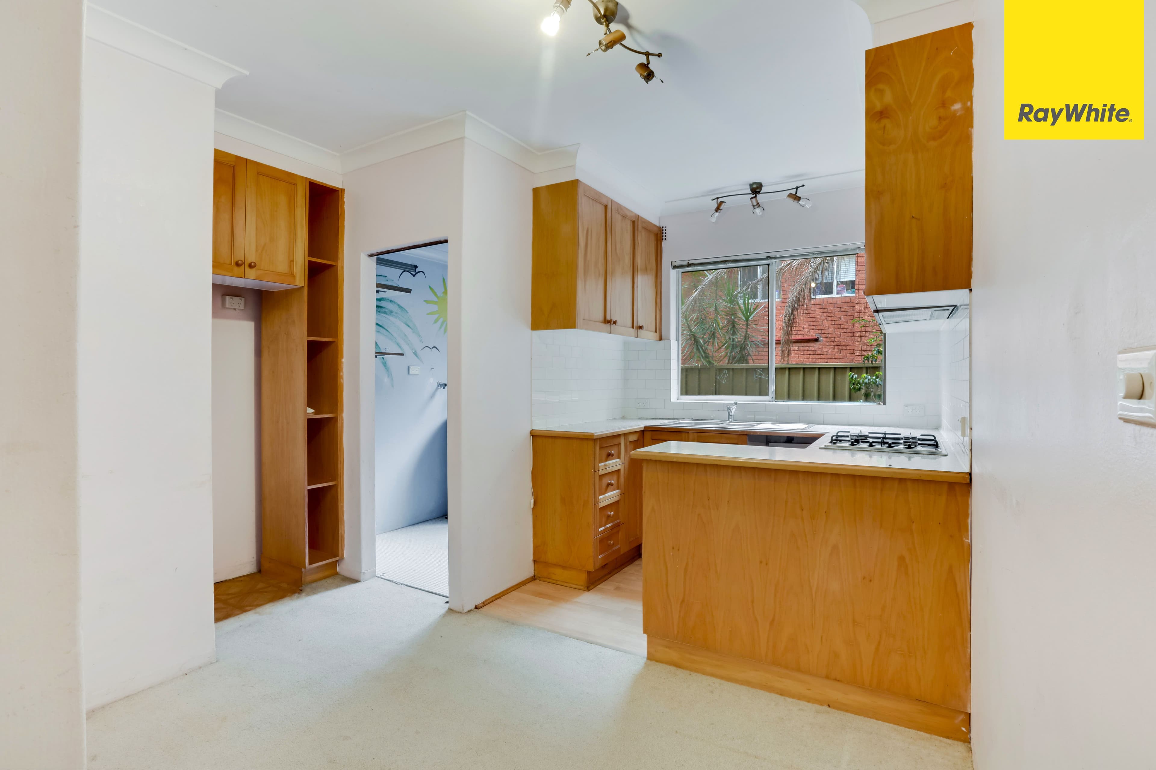 14 Orpington Street, Ashfield NSW 2131, Ashfield - Thumbnail 3
