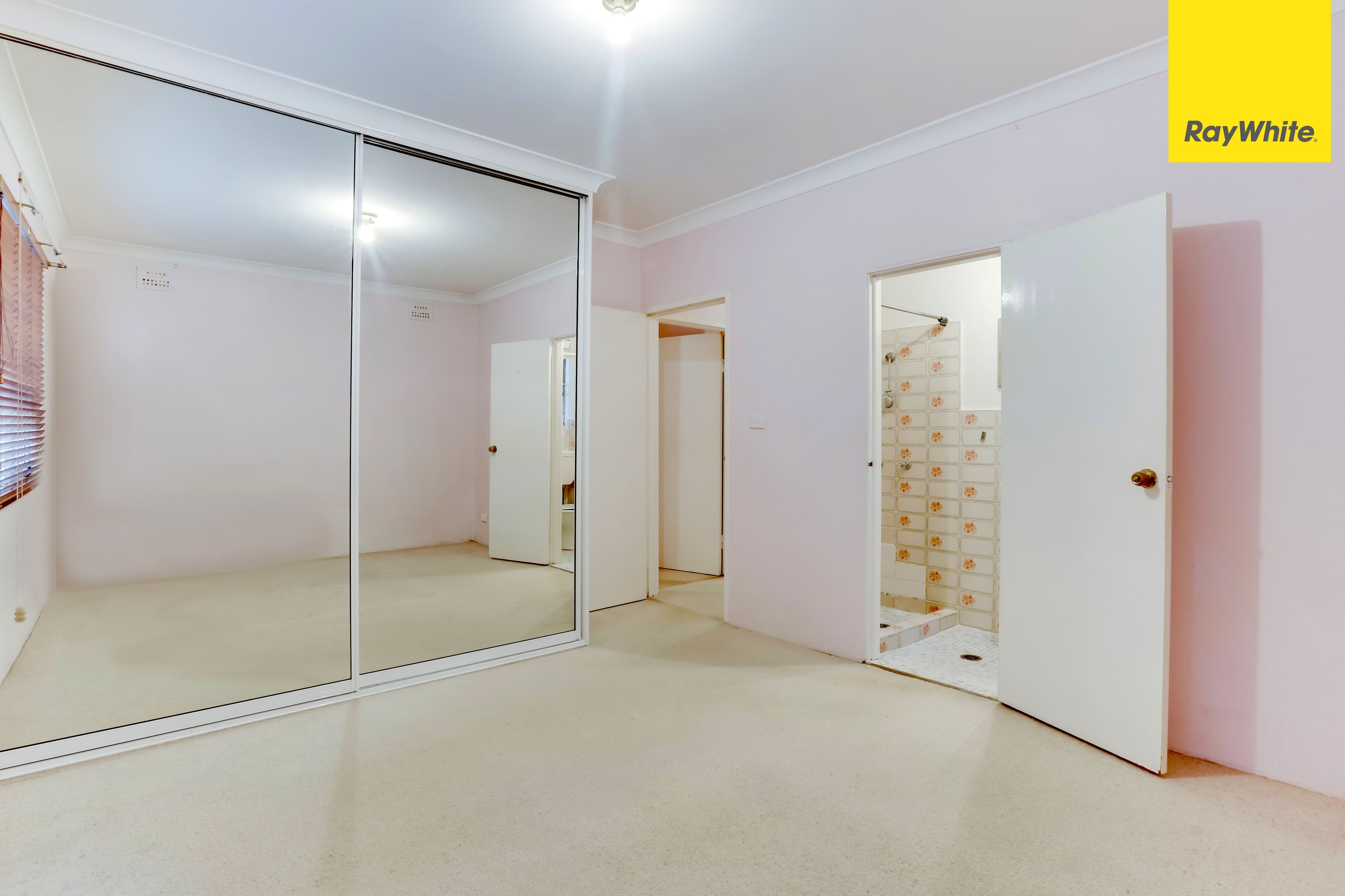 14 Orpington Street, Ashfield NSW 2131, Ashfield - Thumbnail 4
