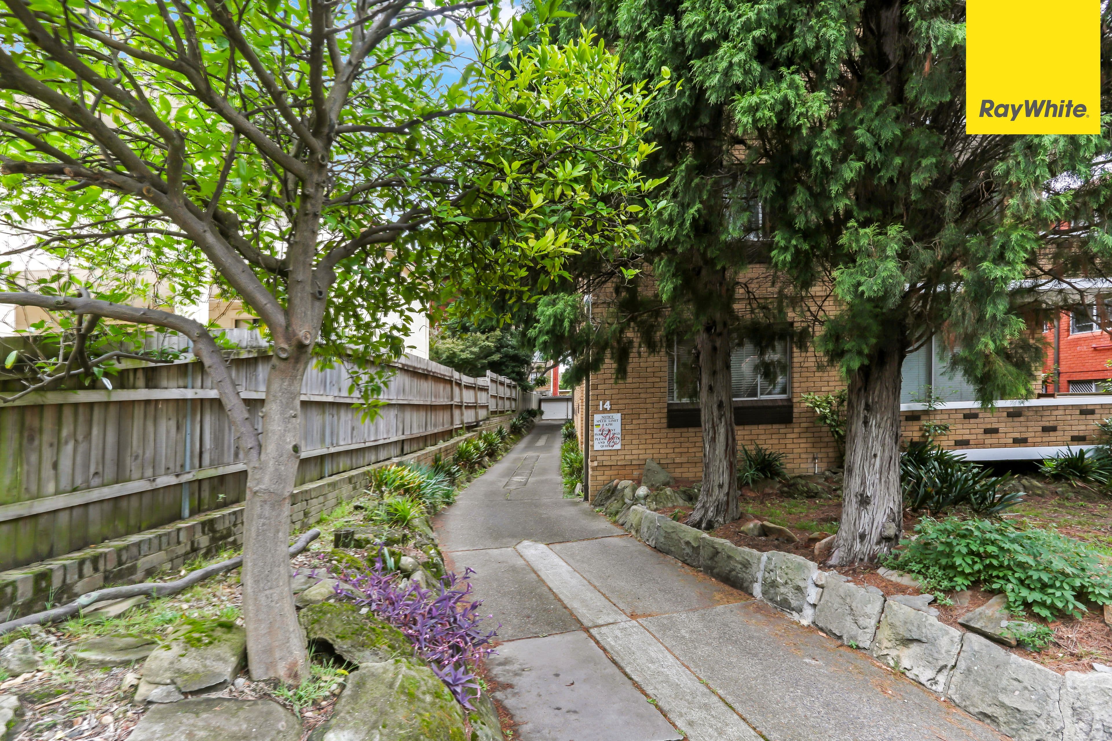 14 Orpington Street, Ashfield NSW 2131, Ashfield - Thumbnail 7