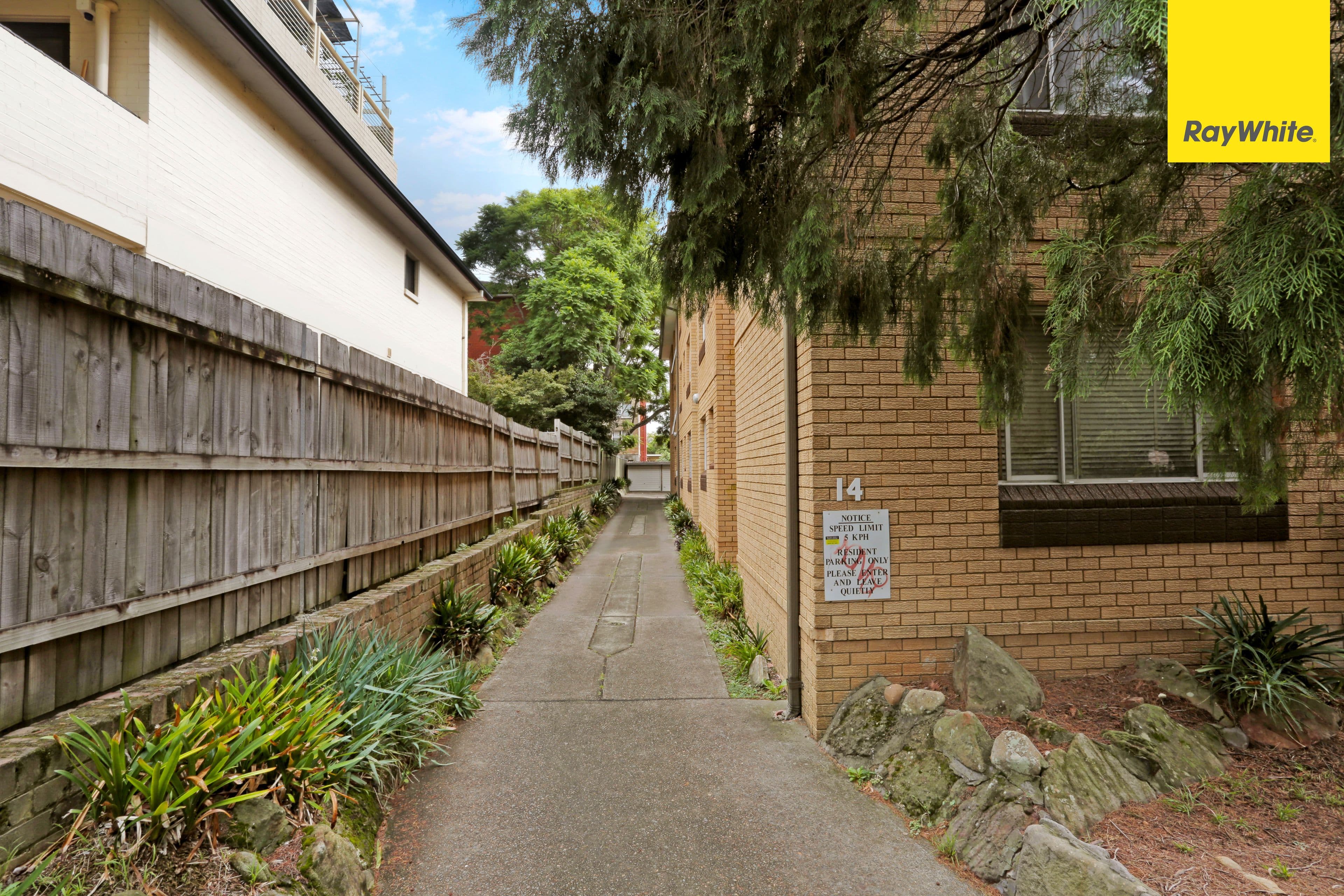 14 Orpington Street, Ashfield NSW 2131, Ashfield - Thumbnail 8