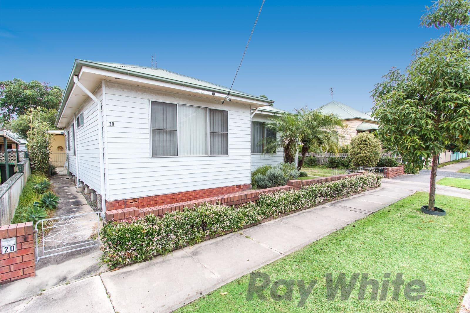 87 Baker Street, Glengowrie SA 5044, Glengowrie - Thumbnail 3