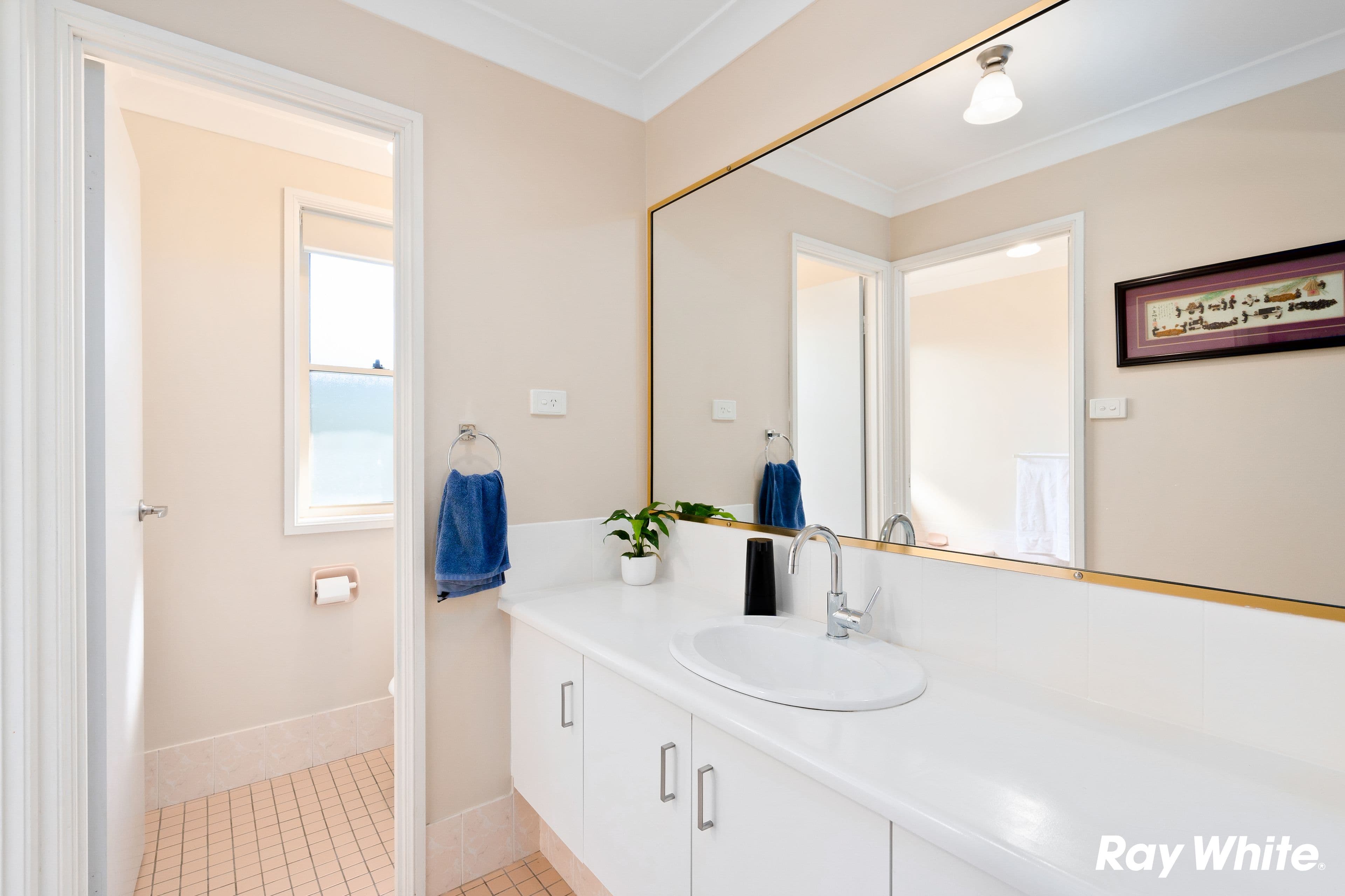 15 Ancilia Close, Quakers Hill NSW 2763, Quakers Hill - Thumbnail 7