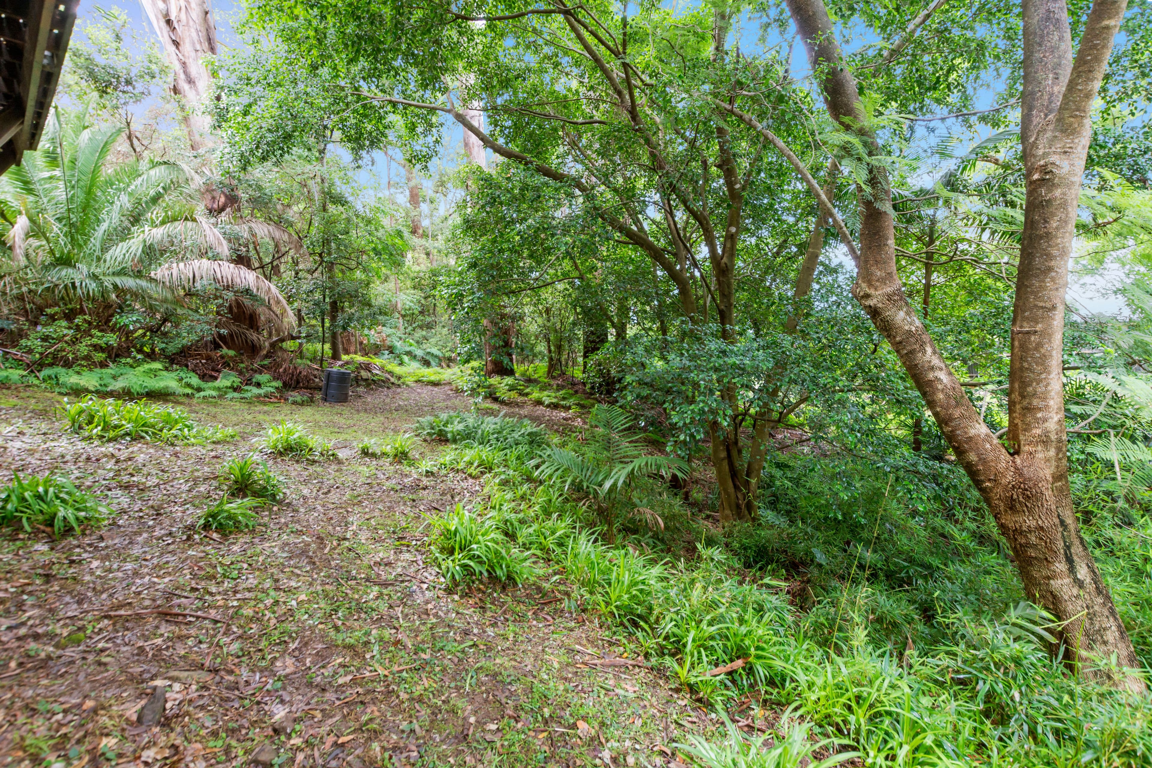 39 Asquith Street, Austinmer NSW 2515, Austinmer - Thumbnail 8