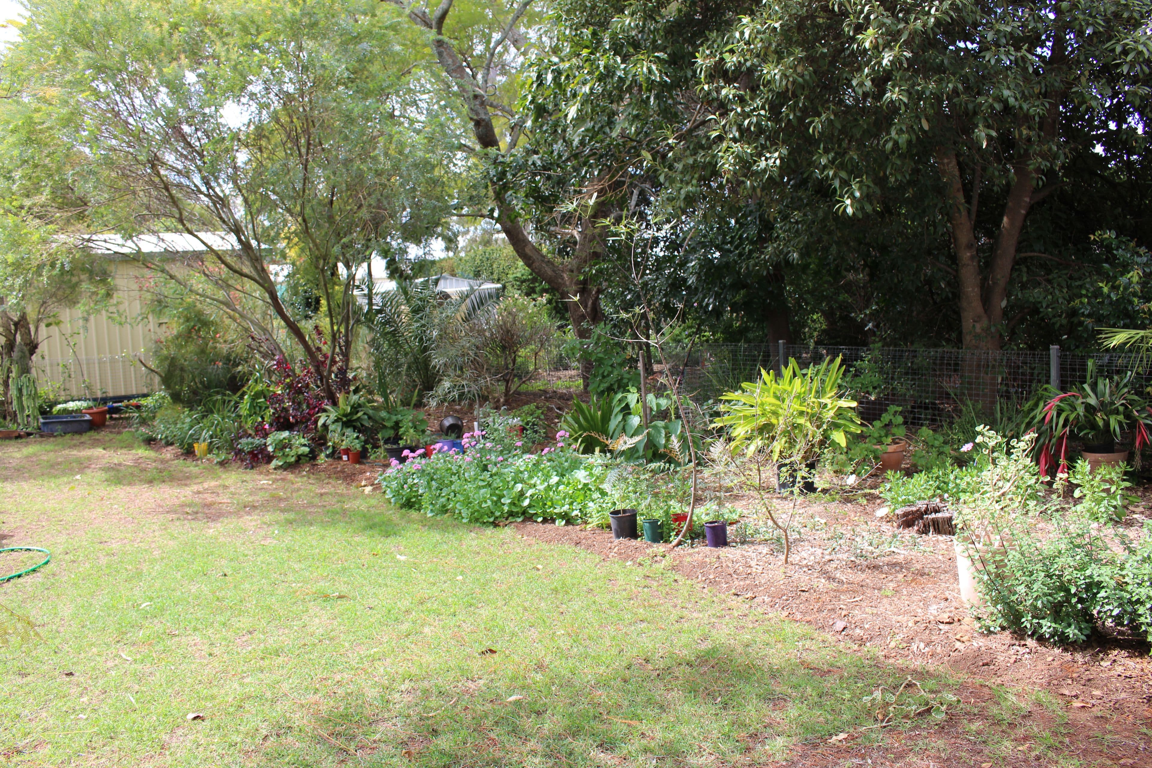 52 Murray, Pittsworth QLD 4356, Pittsworth - Thumbnail 8