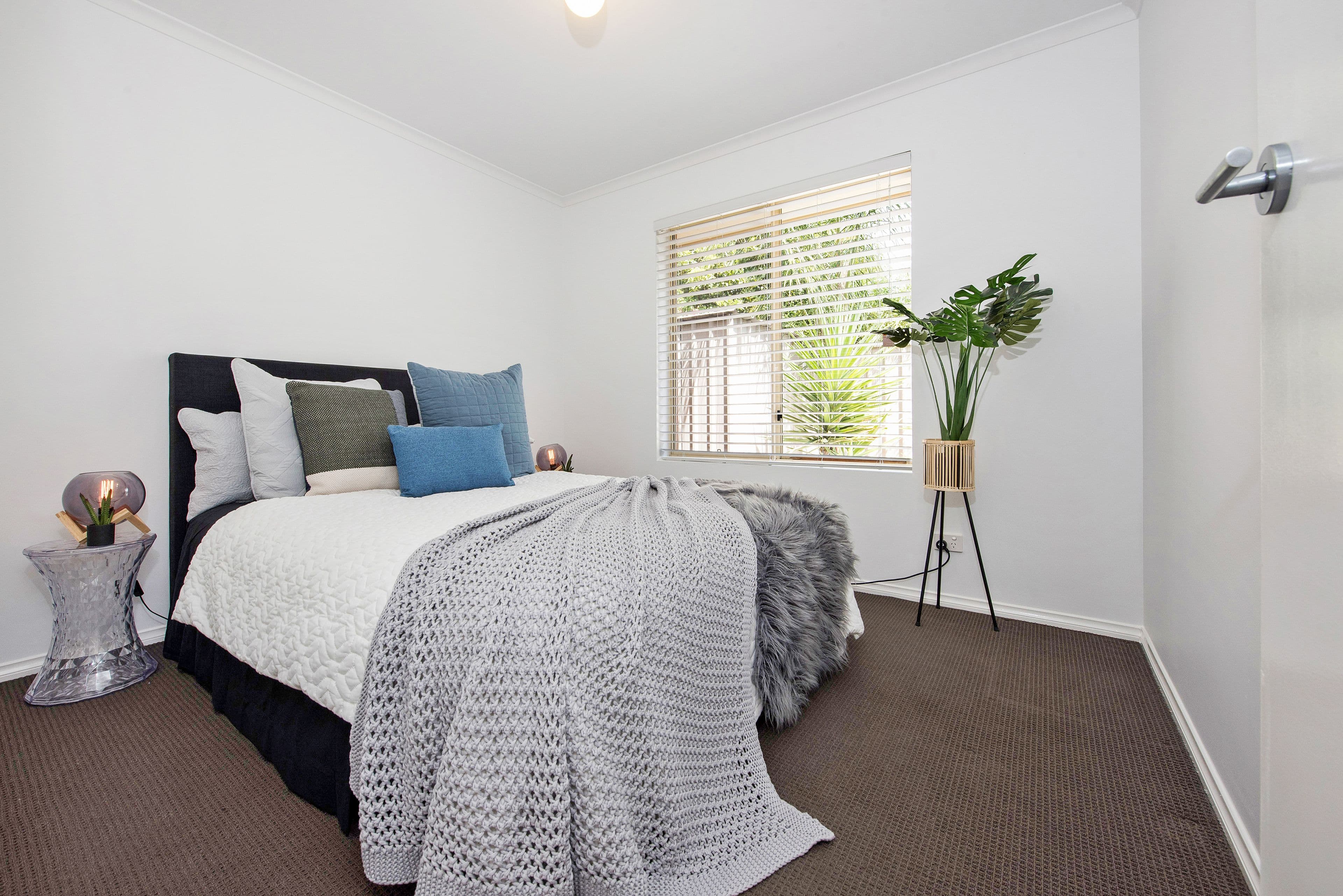 53 Angus Avenue, Edwardstown SA 5039, Edwardstown - Thumbnail 6