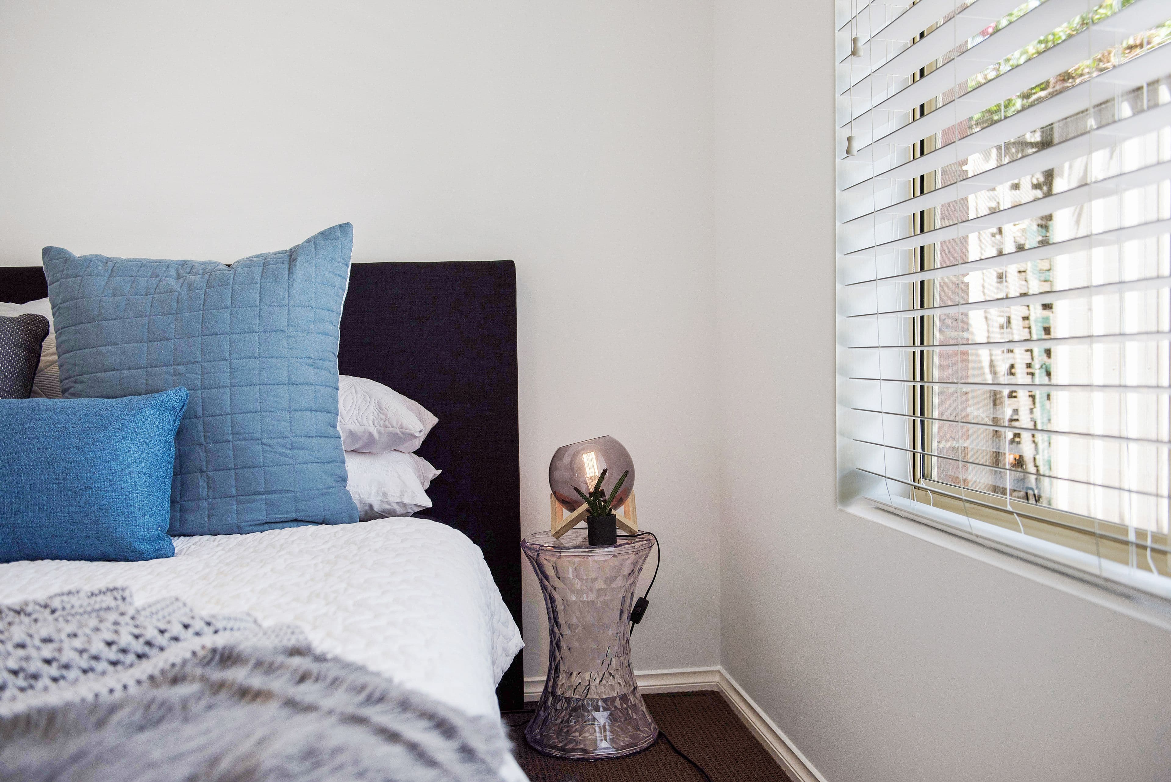 53 Angus Avenue, Edwardstown SA 5039, Edwardstown - Thumbnail 7