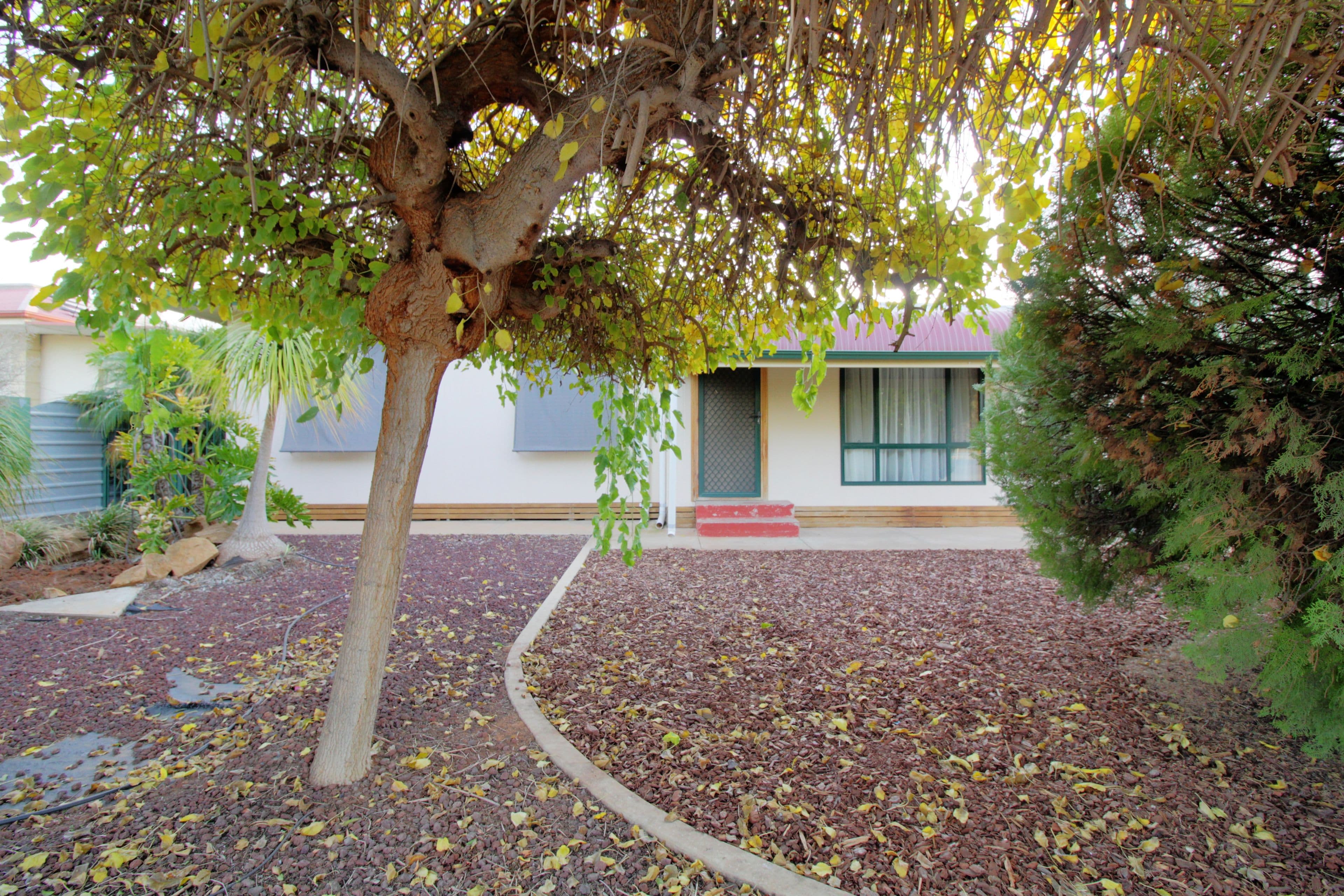 1574 Bookpurnong Road, Loxton North SA 5333, Loxton North - Image 1