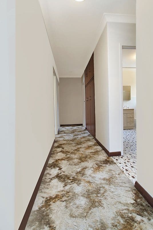 143 Brougham Drive, VALLEY VIEW SA 5093, Valley View - Thumbnail 4