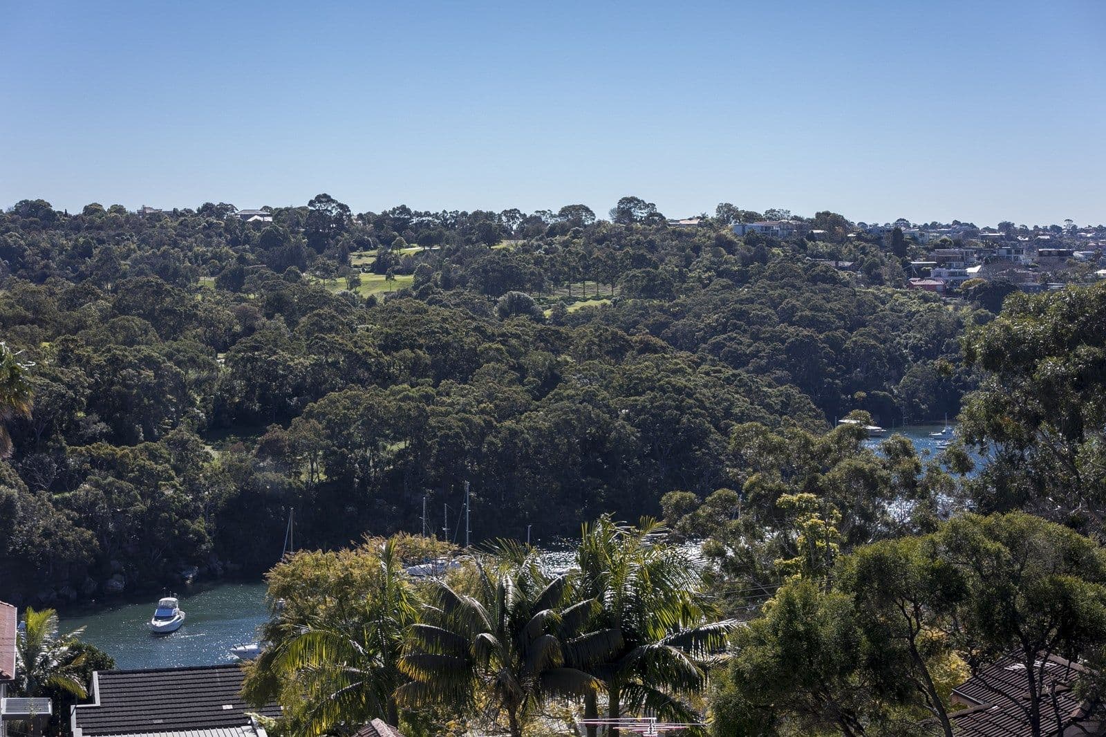 62-64 Carter Street, Cammeray NSW 2062, Cammeray - Thumbnail 6