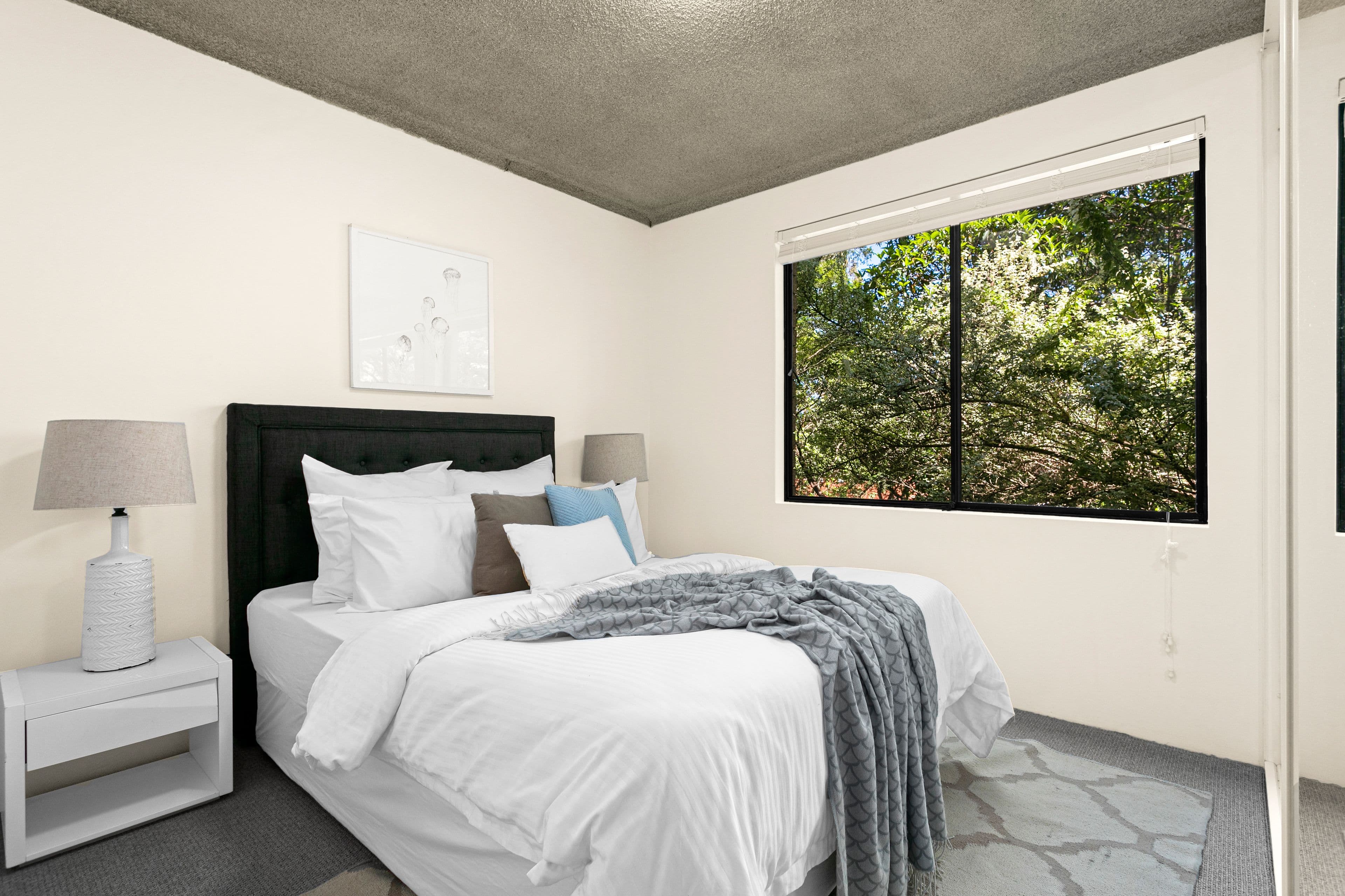 15 Oxford Street, Mortdale NSW 2223, Mortdale - Thumbnail 6