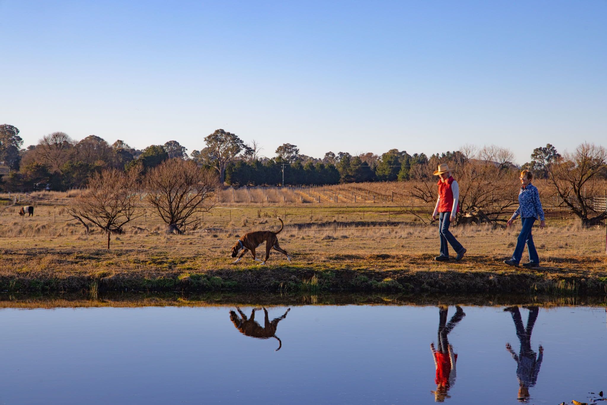 'Bluebell Park' 15 Bluebell Lane, Murrumbateman NSW 2582, Murrumbateman - Image 1