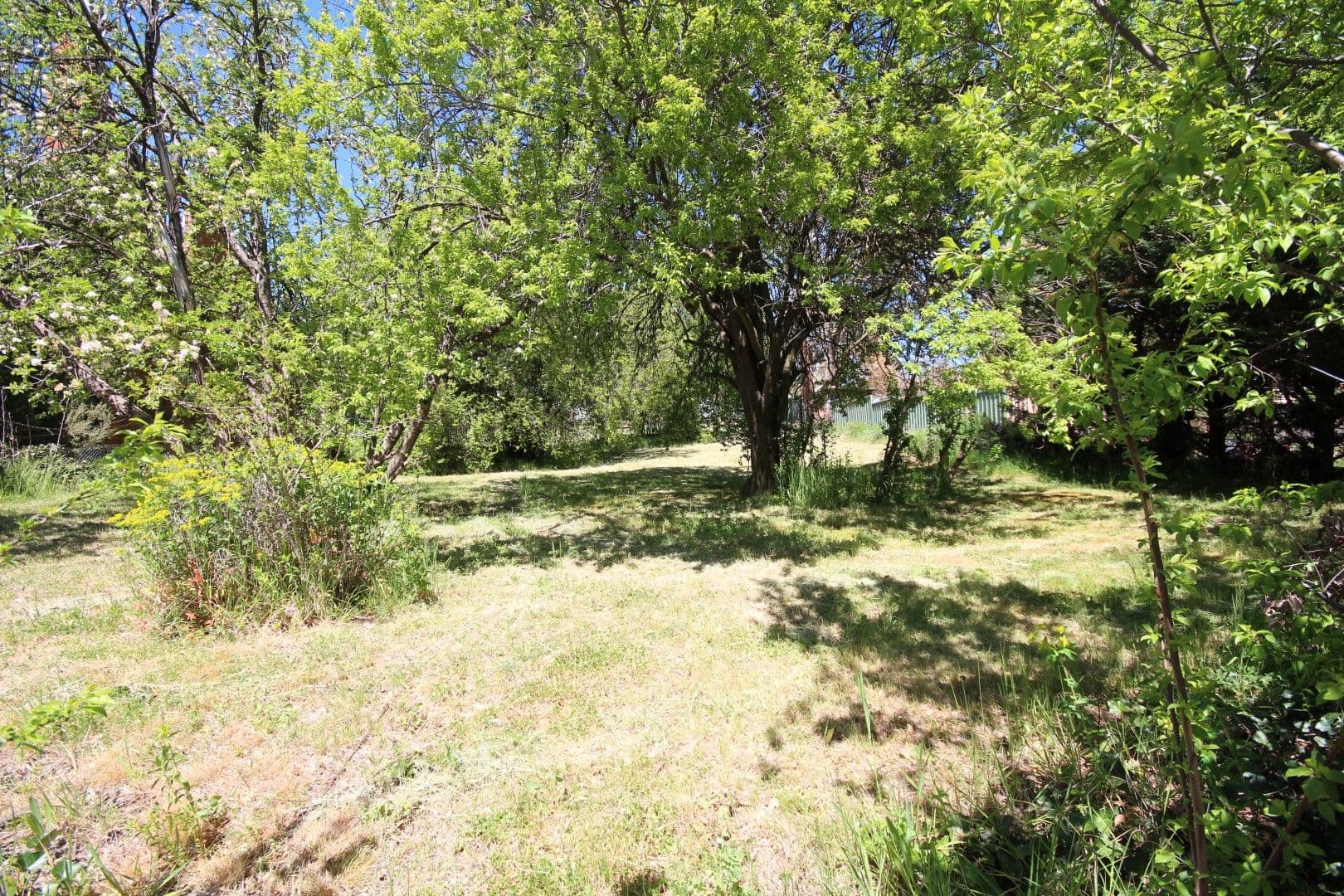 6 Budden Street, Rockley NSW 2795, Rockley - Image 1
