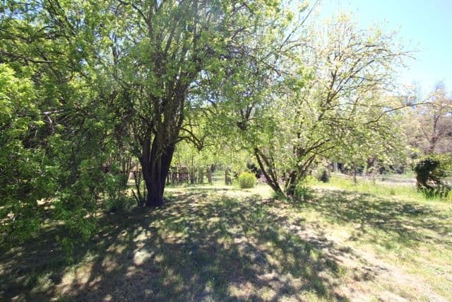 6 Budden Street, Rockley NSW 2795, Rockley - Thumbnail 3