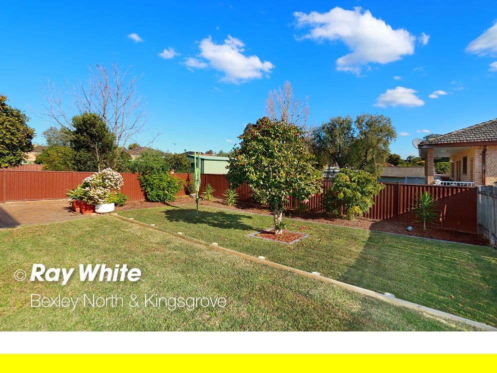 17 Preddys Road, Bexley NSW 2207, Bexley - Thumbnail 7