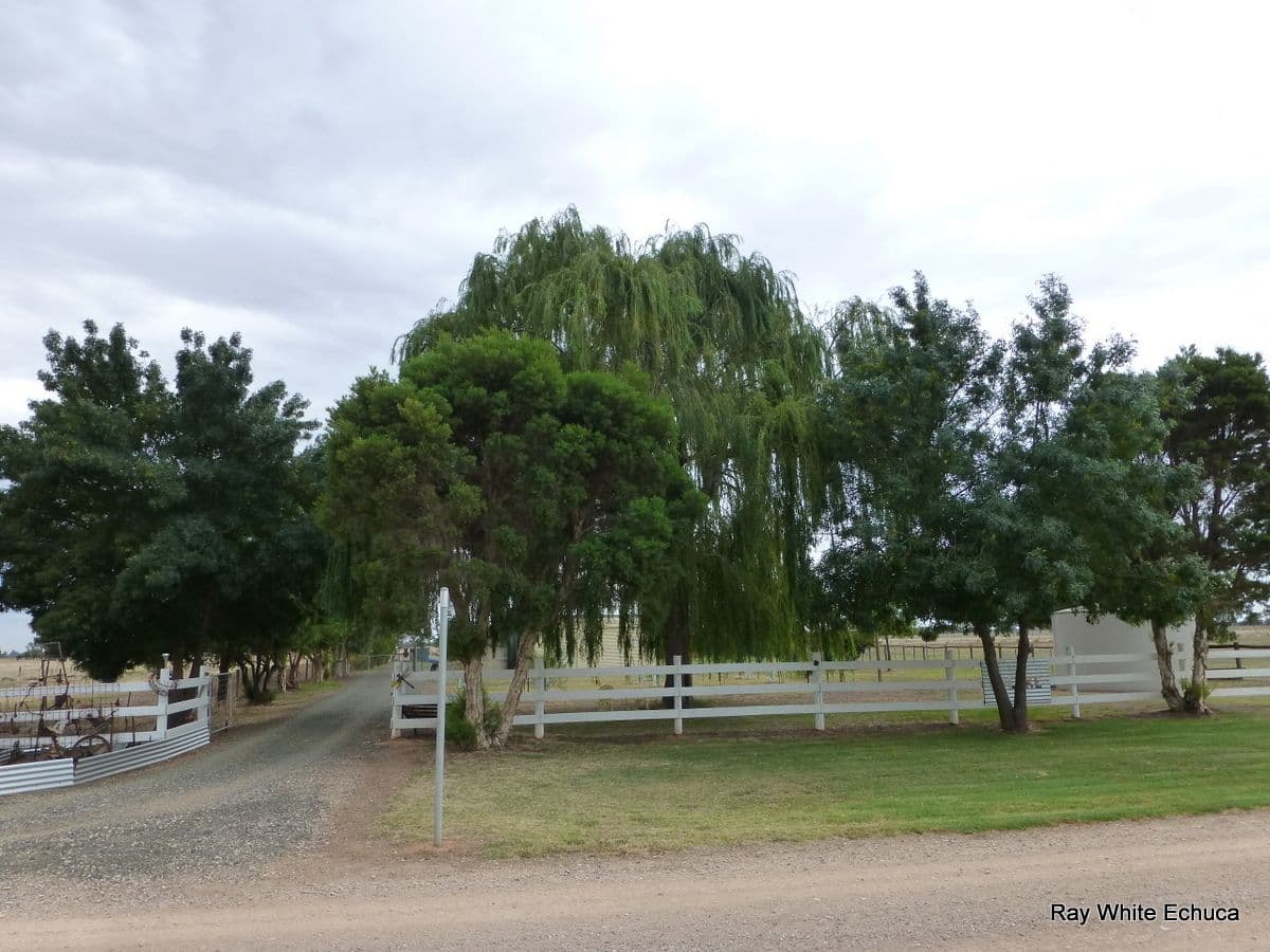 81 Douglas Lane, KOTTA VIC 3565, Kotta - Thumbnail 2