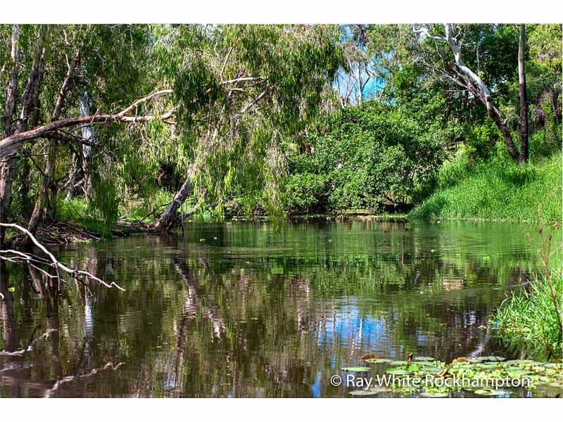 52 Hamilton Avenue, Wandal QLD 4700, Wandal - Thumbnail 6