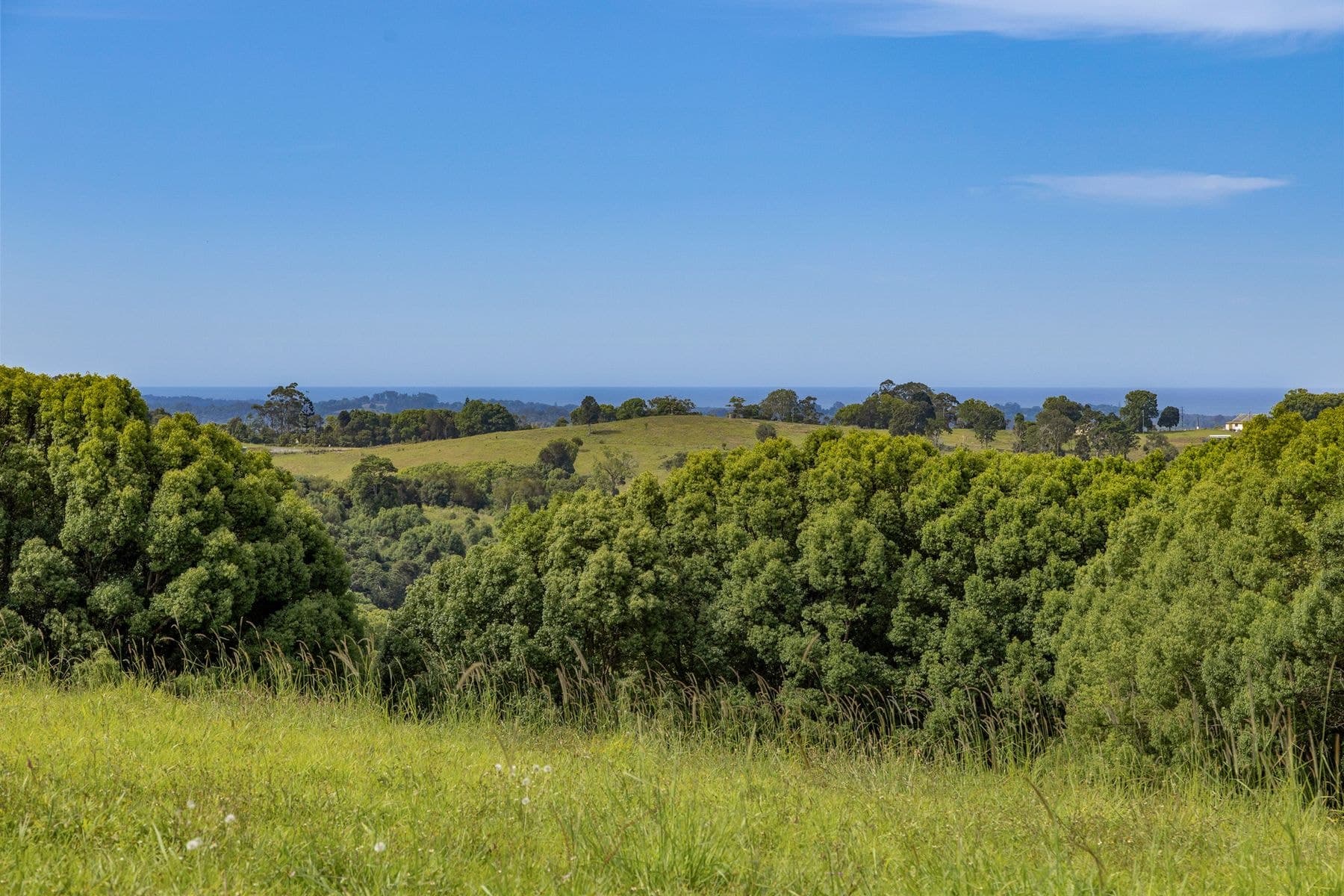 375 Coorabell Road, Coorabell NSW 2479, Coorabell - Thumbnail 6