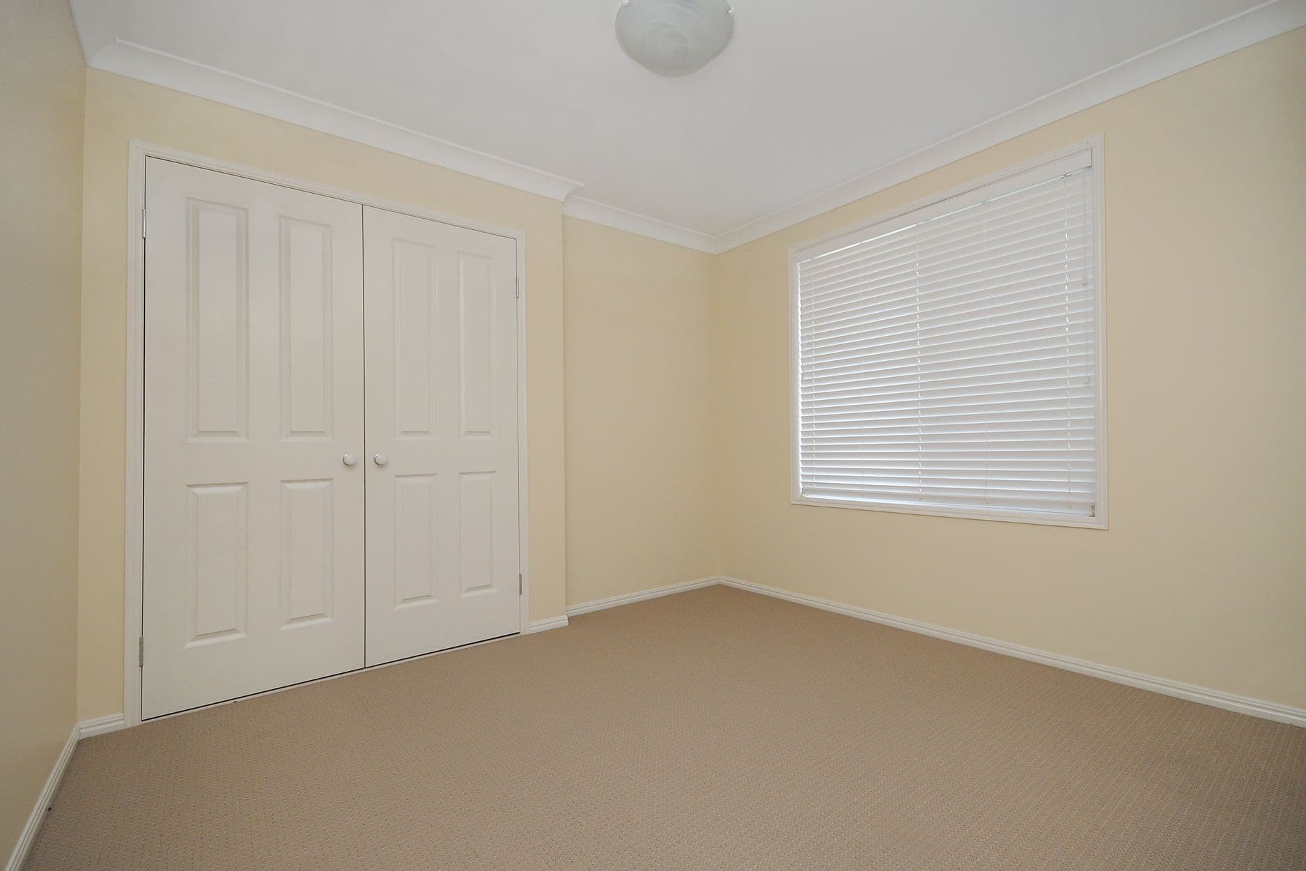 296 Ramsay Street, Middle Ridge QLD 4350, Middle Ridge - Thumbnail 5