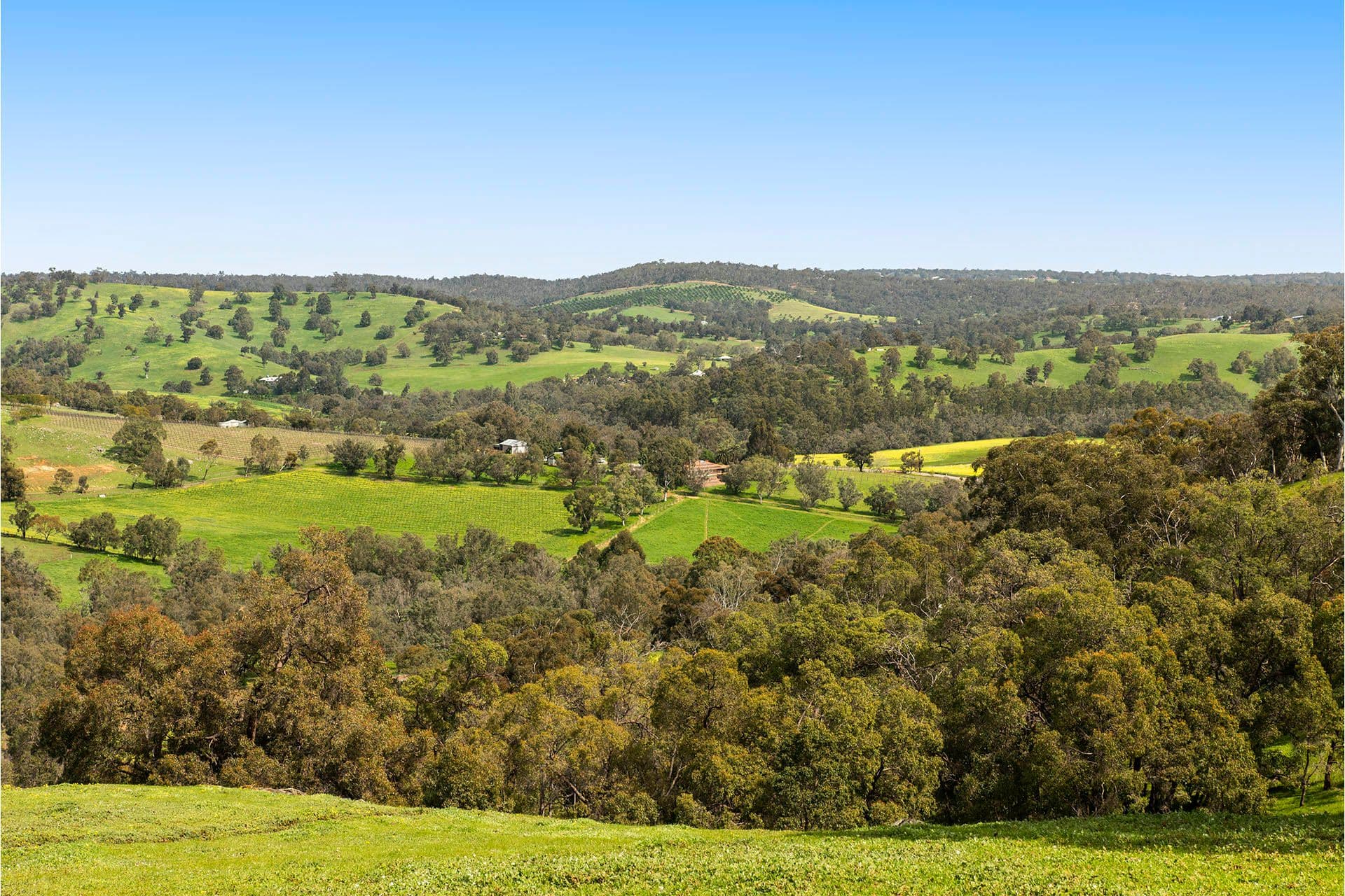 179 Chittering Valley Road, Lower Chittering WA 6084, Lower Chittering - Thumbnail 2