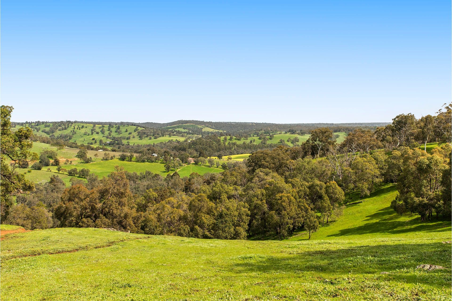 179 Chittering Valley Road, Lower Chittering WA 6084, Lower Chittering - Thumbnail 3