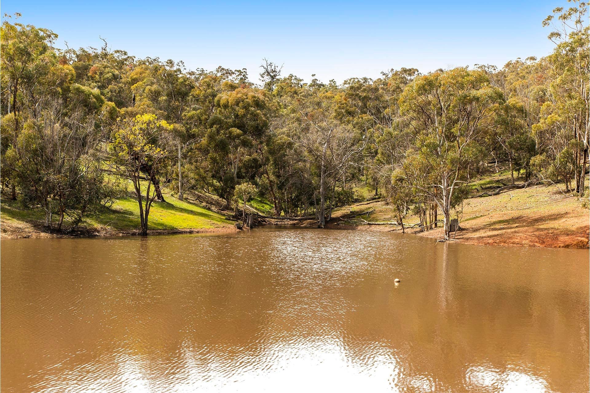 179 Chittering Valley Road, Lower Chittering WA 6084, Lower Chittering - Thumbnail 5