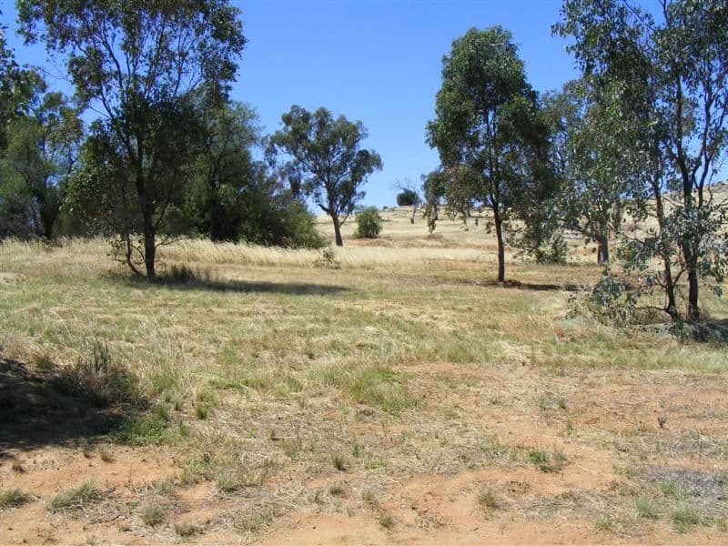 Lot 35 London Drive, COWRA NSW 2794, Cowra - Thumbnail 6