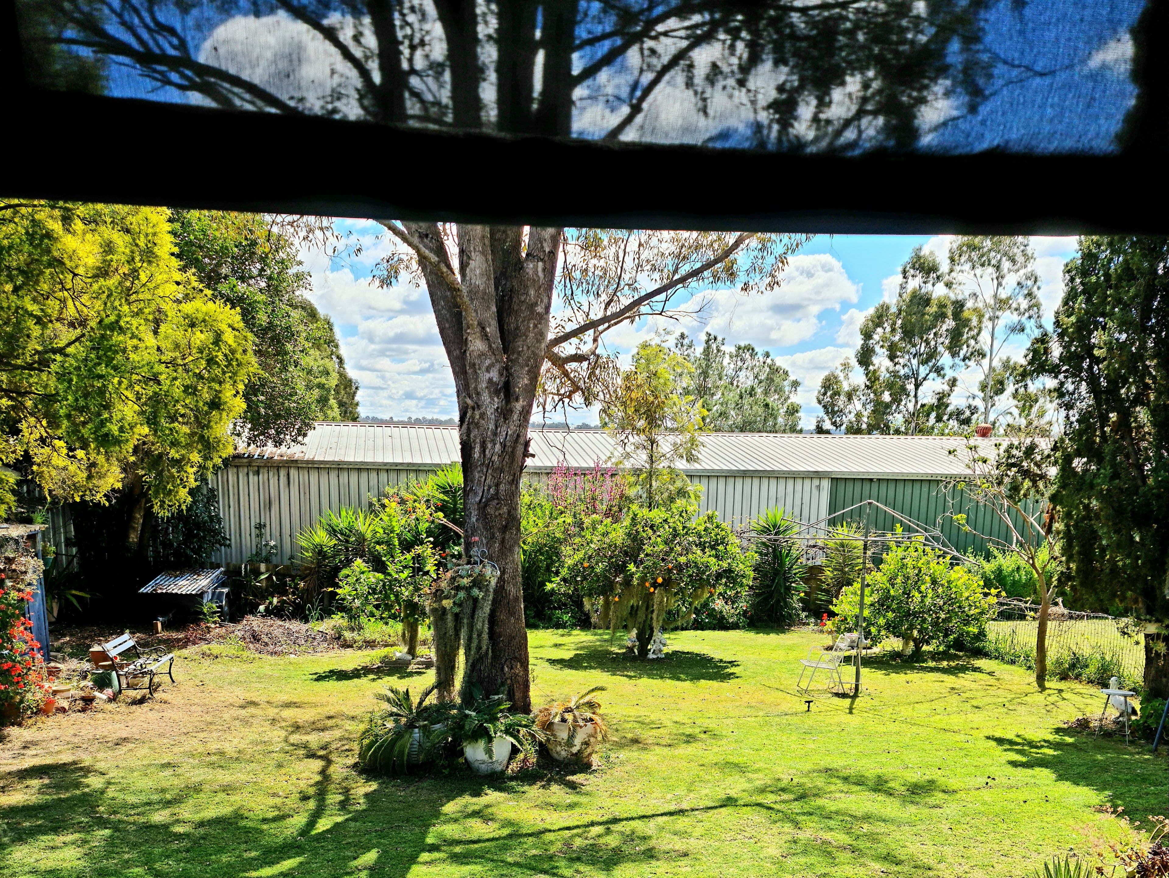 147 Wood Street, Warwick QLD 4370, Warwick - Thumbnail 4