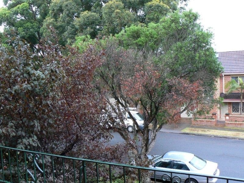 SOUTH HURSTVILLE NSW 2221, South Hurstville - Thumbnail 6