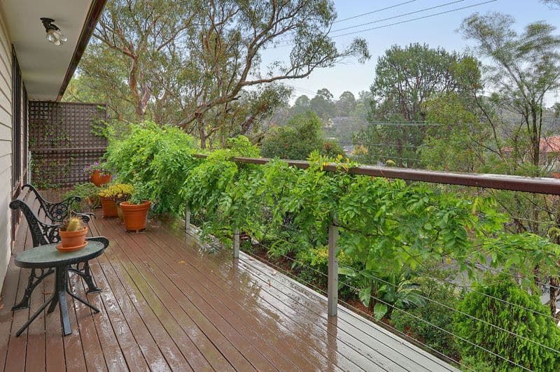 16 Evans Road, HORNSBY HEIGHTS NSW 2077, Hornsby Heights - Thumbnail 2