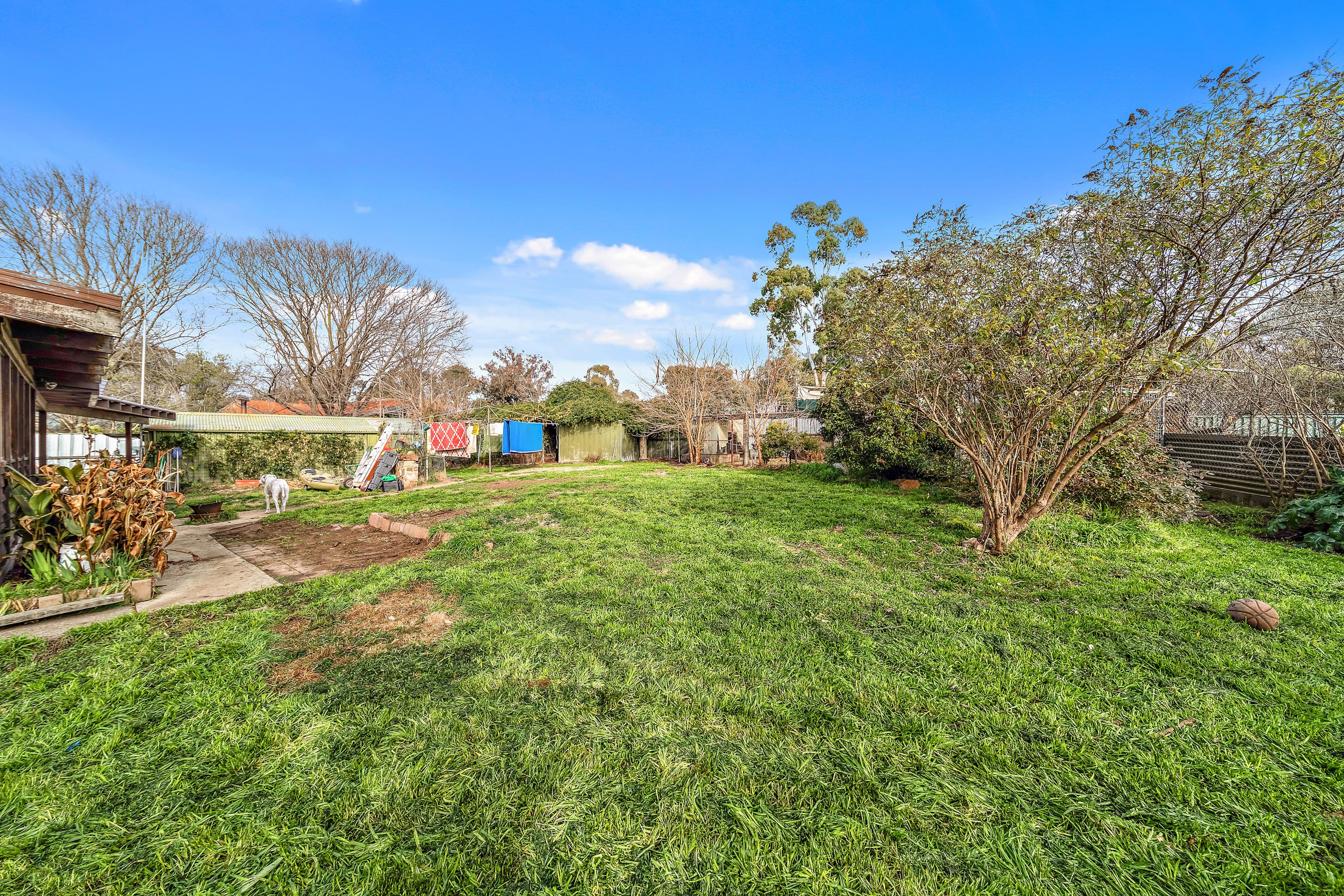 12 Ligar Place, Holder ACT 2611, Holder - Thumbnail 5
