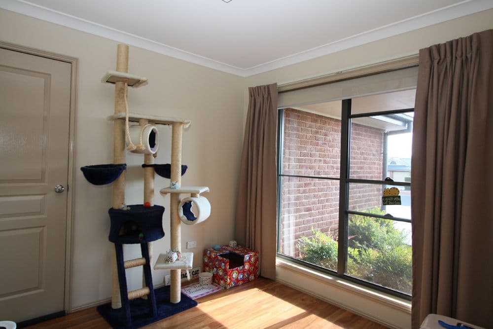 51 McCusker Drive, Bungendore NSW 2621, Bungendore - Thumbnail 4