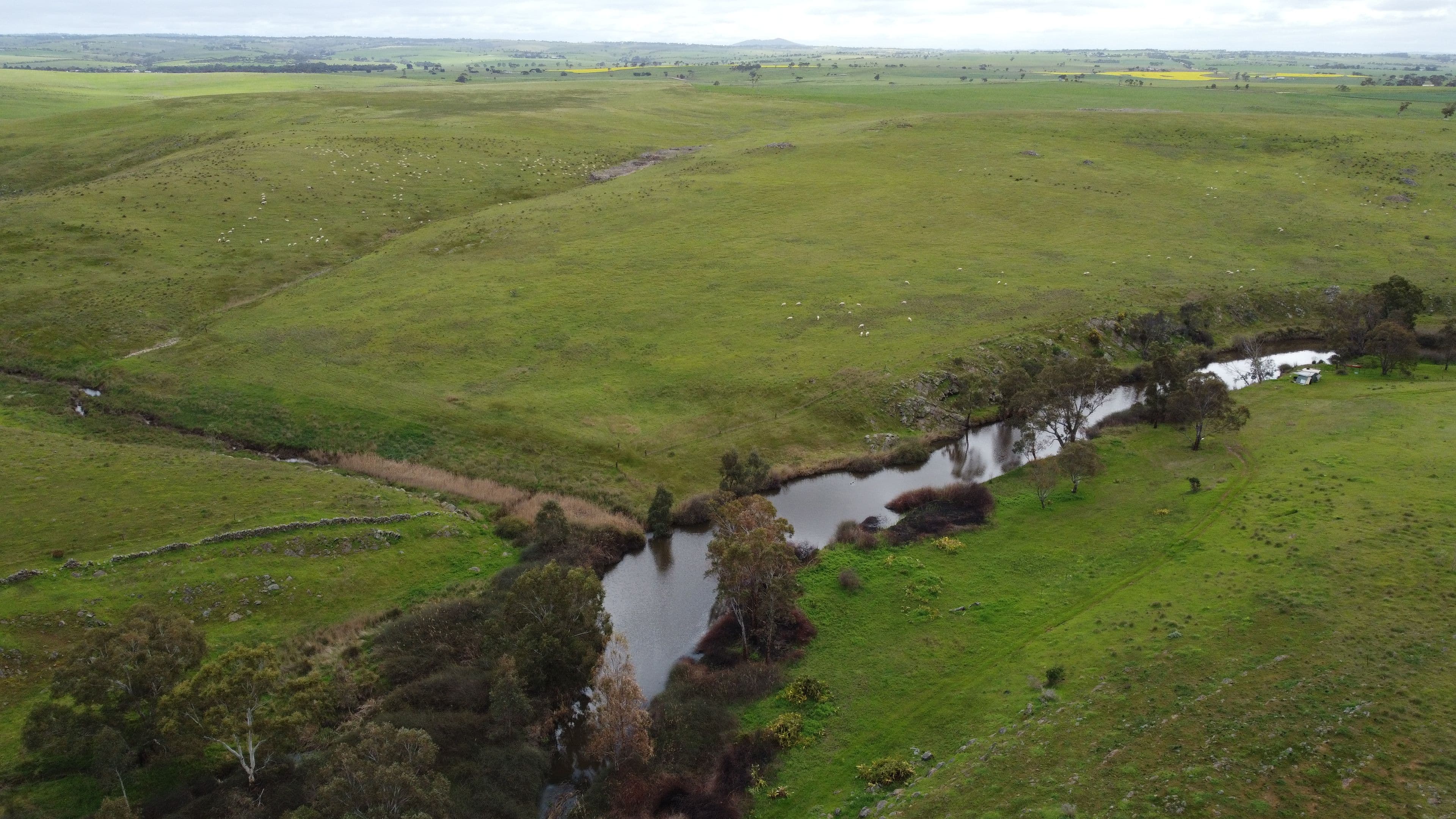 113 Stanton Road, Hartley SA 5255, Hartley - Thumbnail 5
