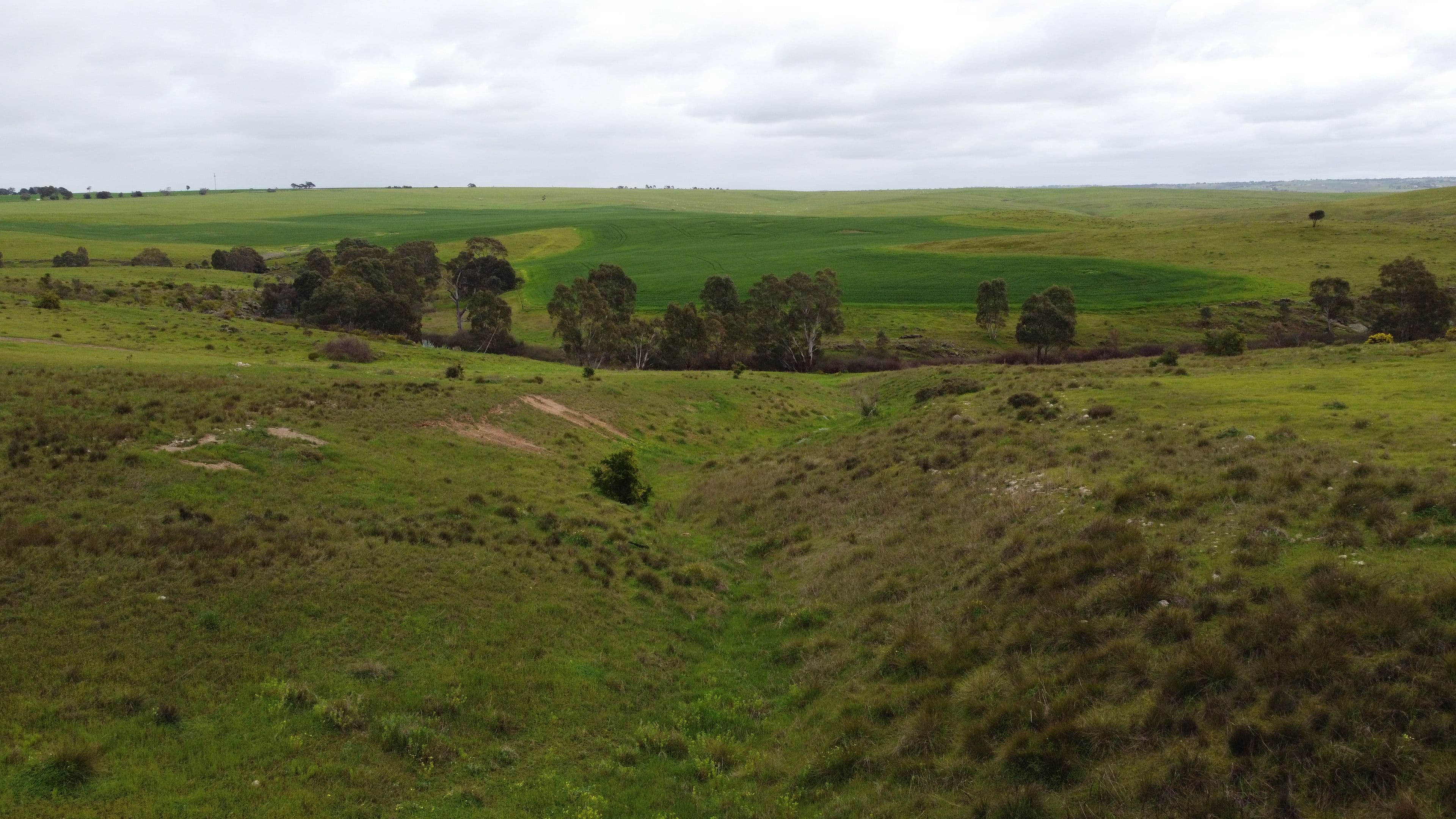 113 Stanton Road, Hartley SA 5255, Hartley - Thumbnail 7