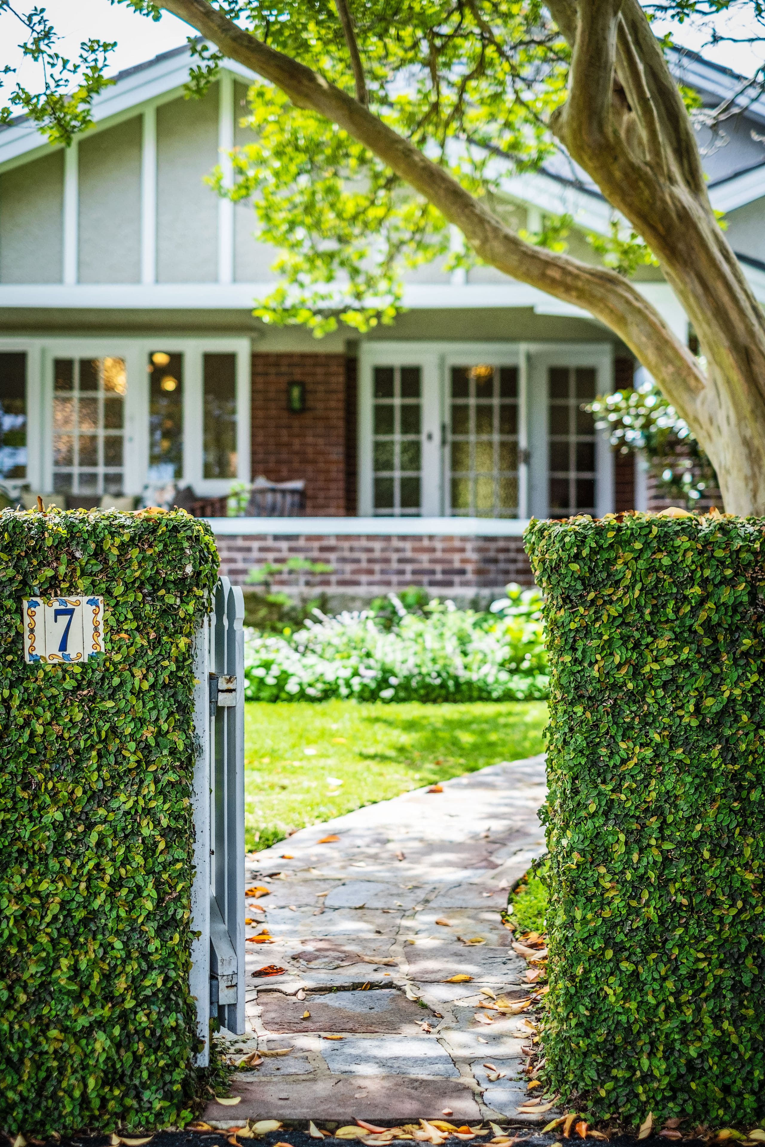 7 Belgium Avenue, Roseville NSW 2069, Roseville - Thumbnail 5