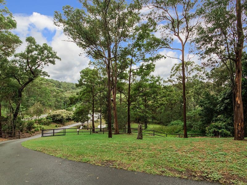239 Brygon Creek Drive, Upper Coomera QLD 4209, Upper Coomera - Thumbnail 8