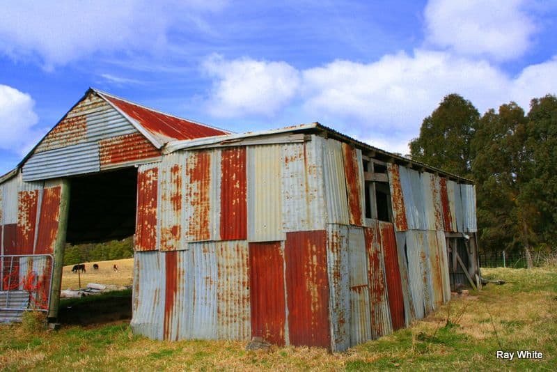 51458 Hill Street, Majors Creek NSW 2622, Majors Creek - Thumbnail 4
