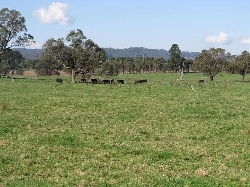621 Range Road, MITTAGONG NSW 2575, Mittagong - Thumbnail 8