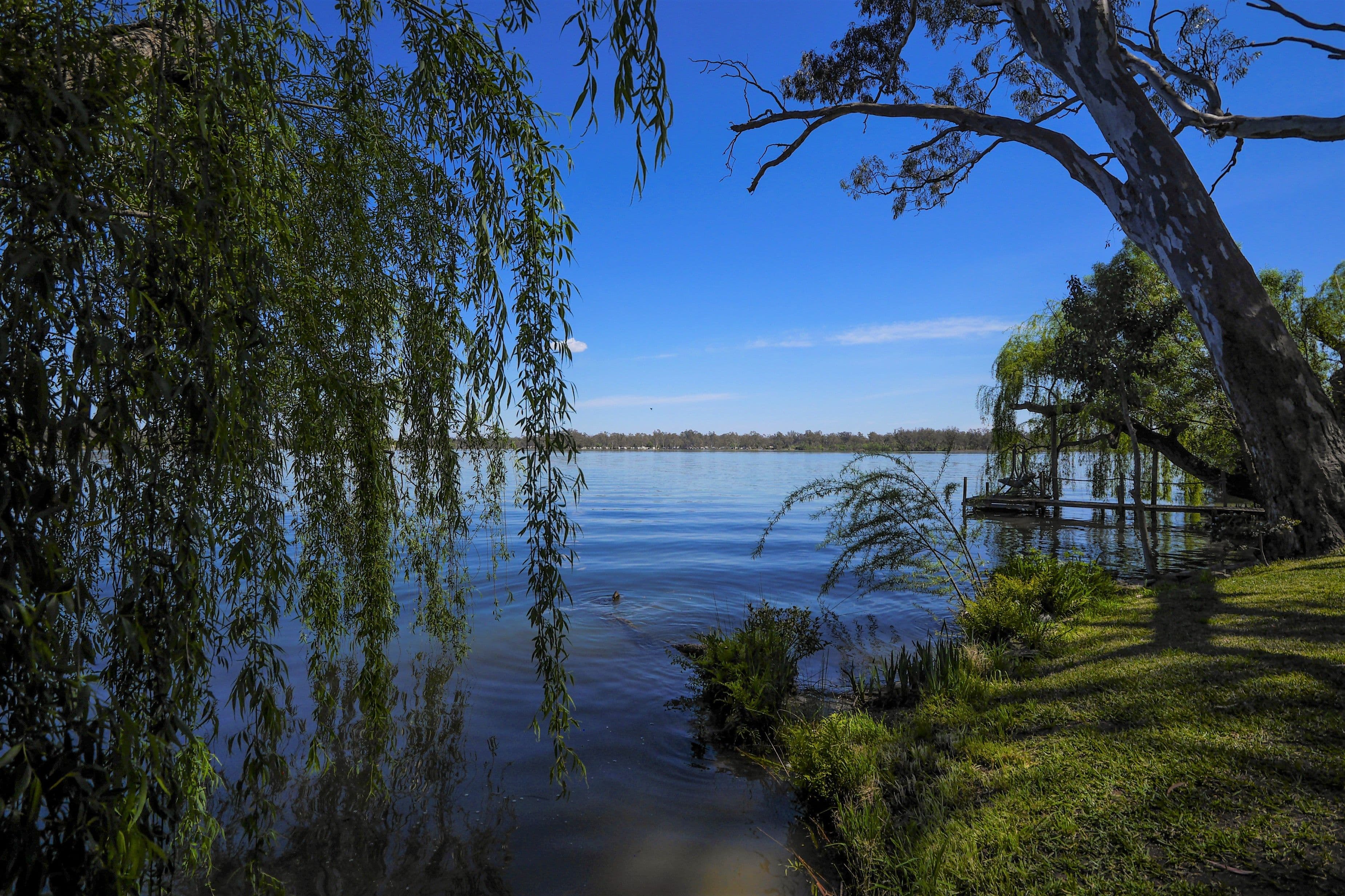 41B Young Street, Nagambie VIC 3608, Nagambie - Image 1