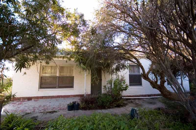 19 Learmonth Terrace, ENFIELD SA 5085, Enfield - Thumbnail 4