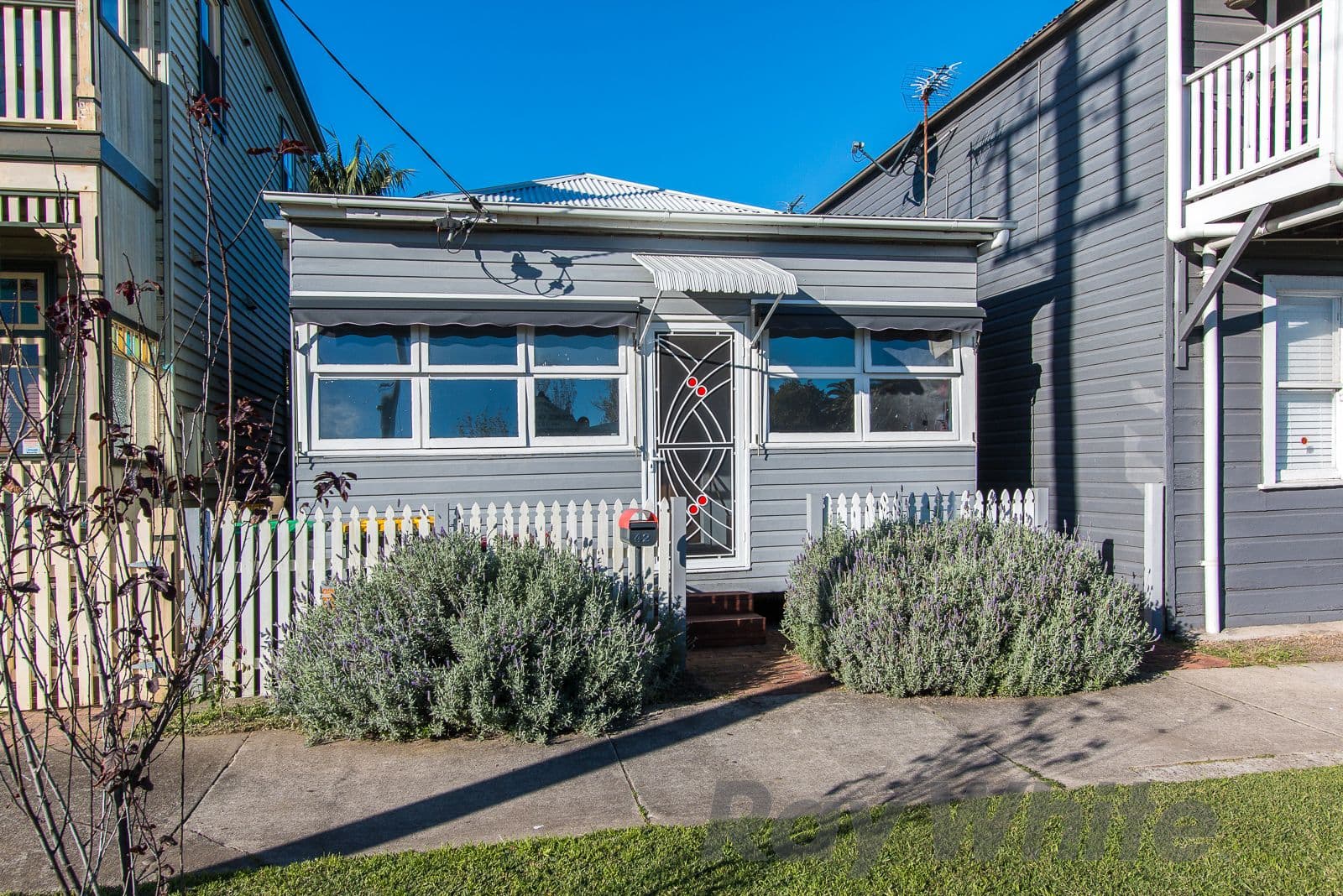 42 Young Street, Carrington - Thumbnail 3