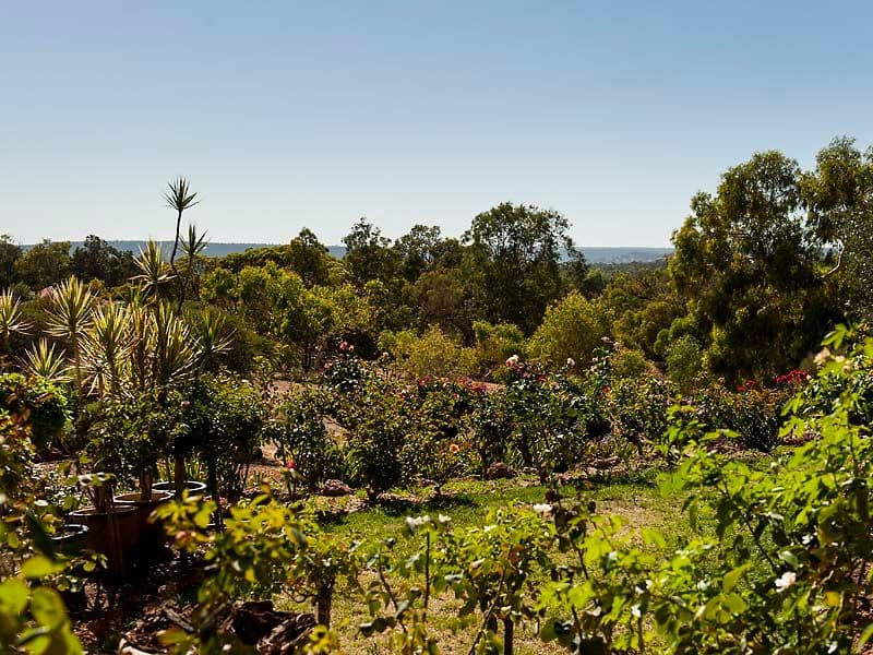 317 Murray Grey Circle, Lower Chittering WA 6084, Lower Chittering - Thumbnail 4