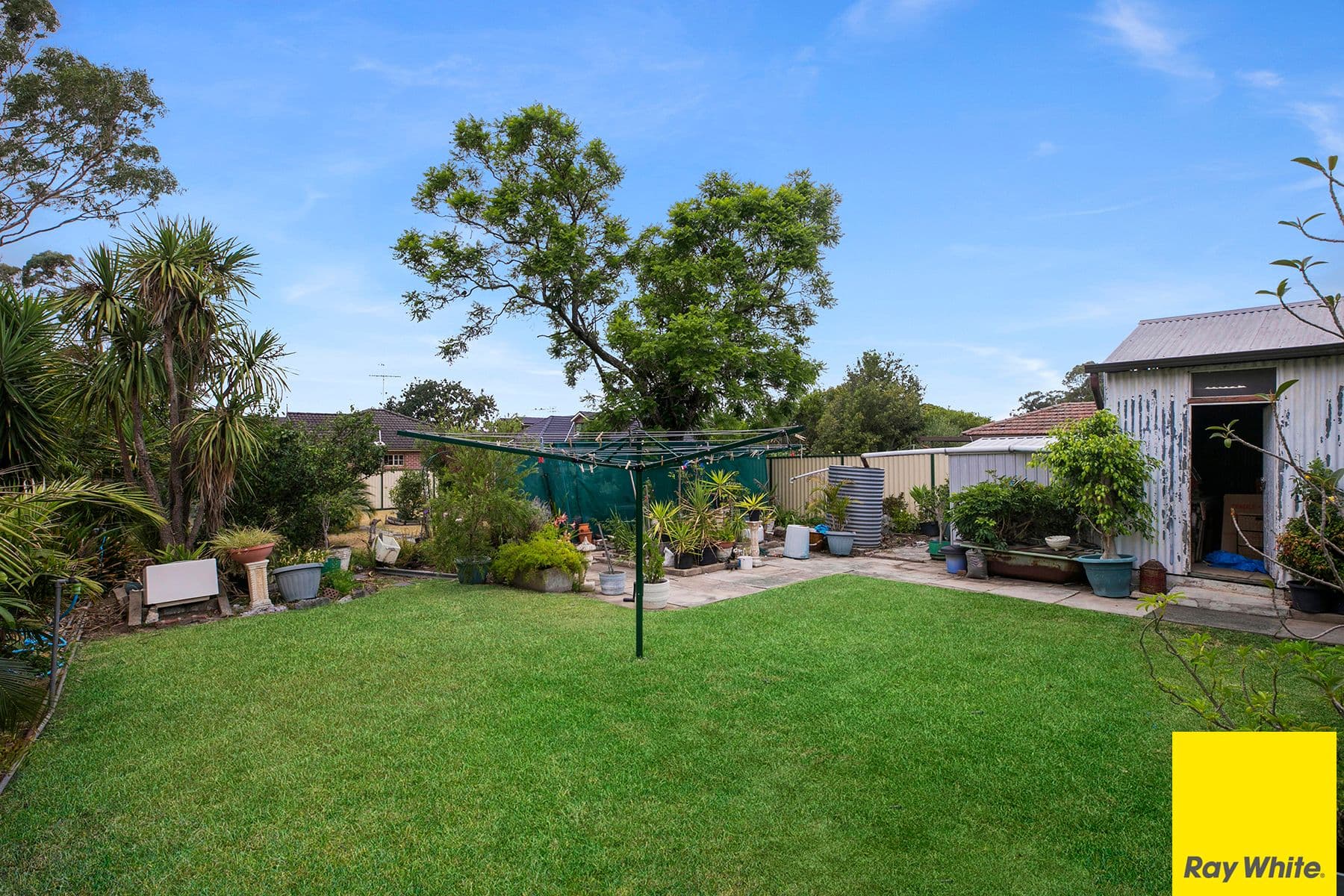 56 Columbine Avenue, Bankstown - Thumbnail 7