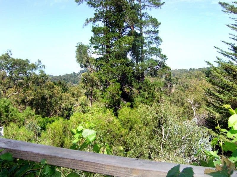 24 Marcus Street, MOUNT EVELYN VIC 3796, Mount Evelyn - Thumbnail 7