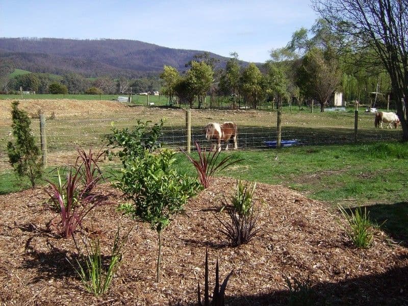 BUXTON VIC 3711, Buxton - Thumbnail 7