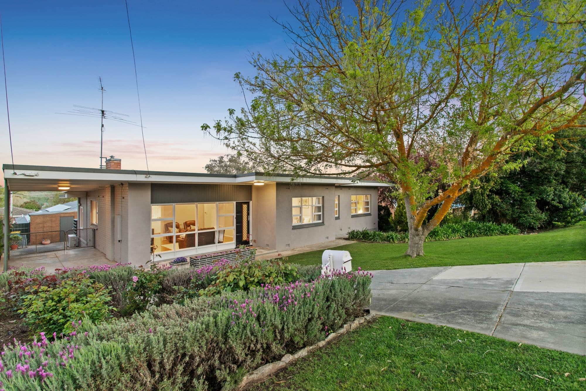 13 Netley Road, Mount Barker SA 5251, Mount Barker - Thumbnail 2