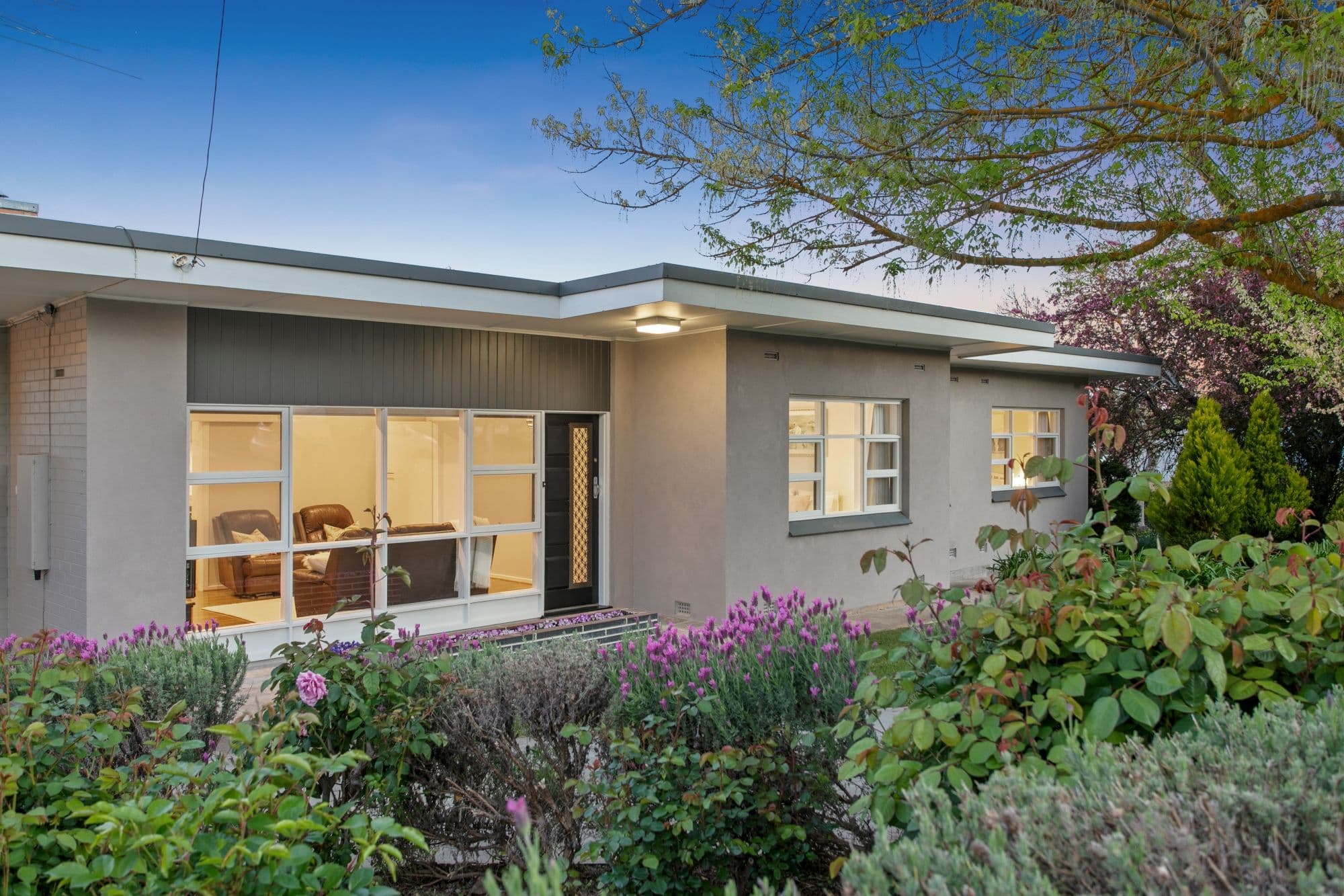 13 Netley Road, Mount Barker SA 5251, Mount Barker - Thumbnail 3
