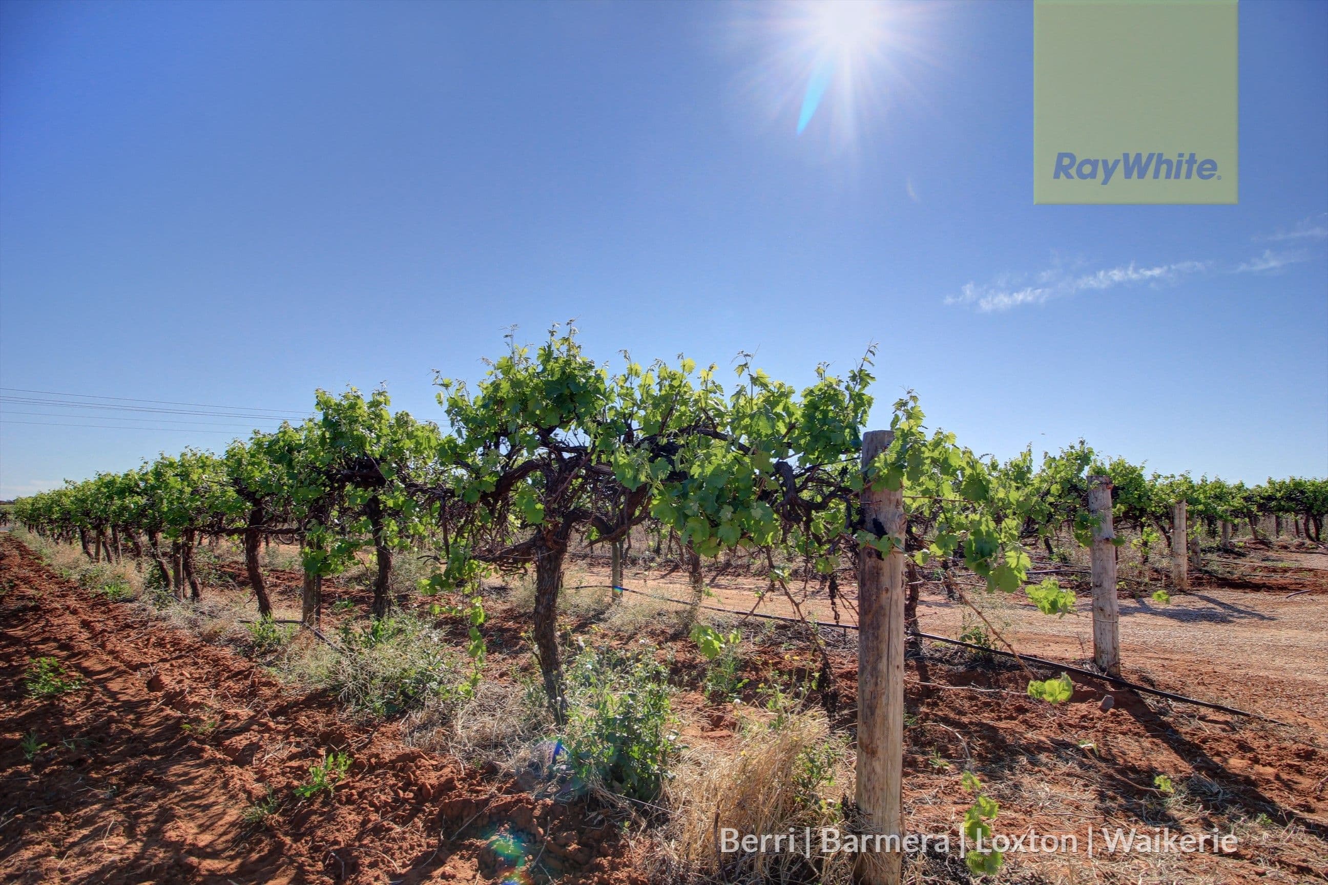 94 McKay Road, Glossop SA 5344, Glossop - Thumbnail 8