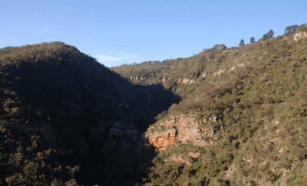 2 Iona Avenue, Woodforde SA 5072, Woodforde - Thumbnail 4