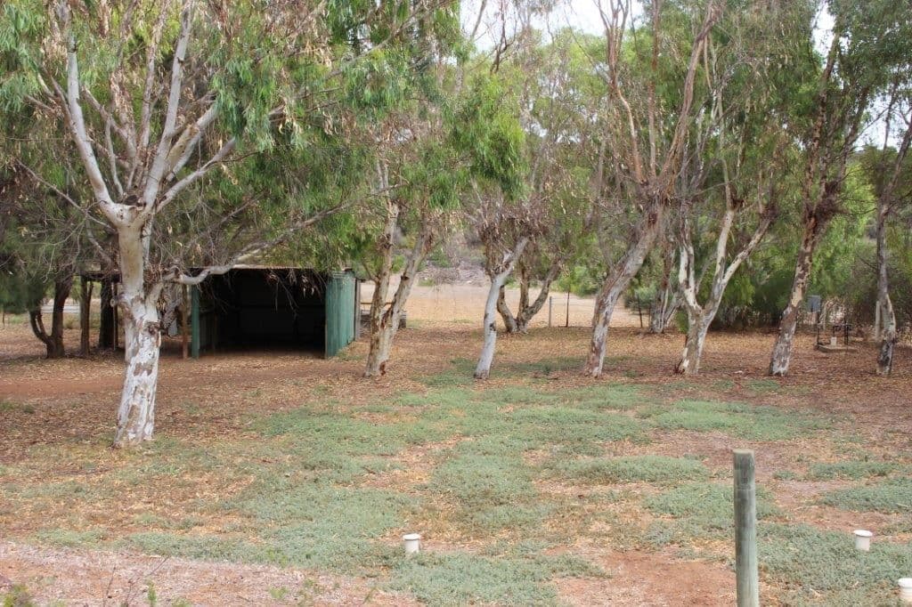 73 Brennand Road, Dongara WA 6525, Dongara - Thumbnail 4